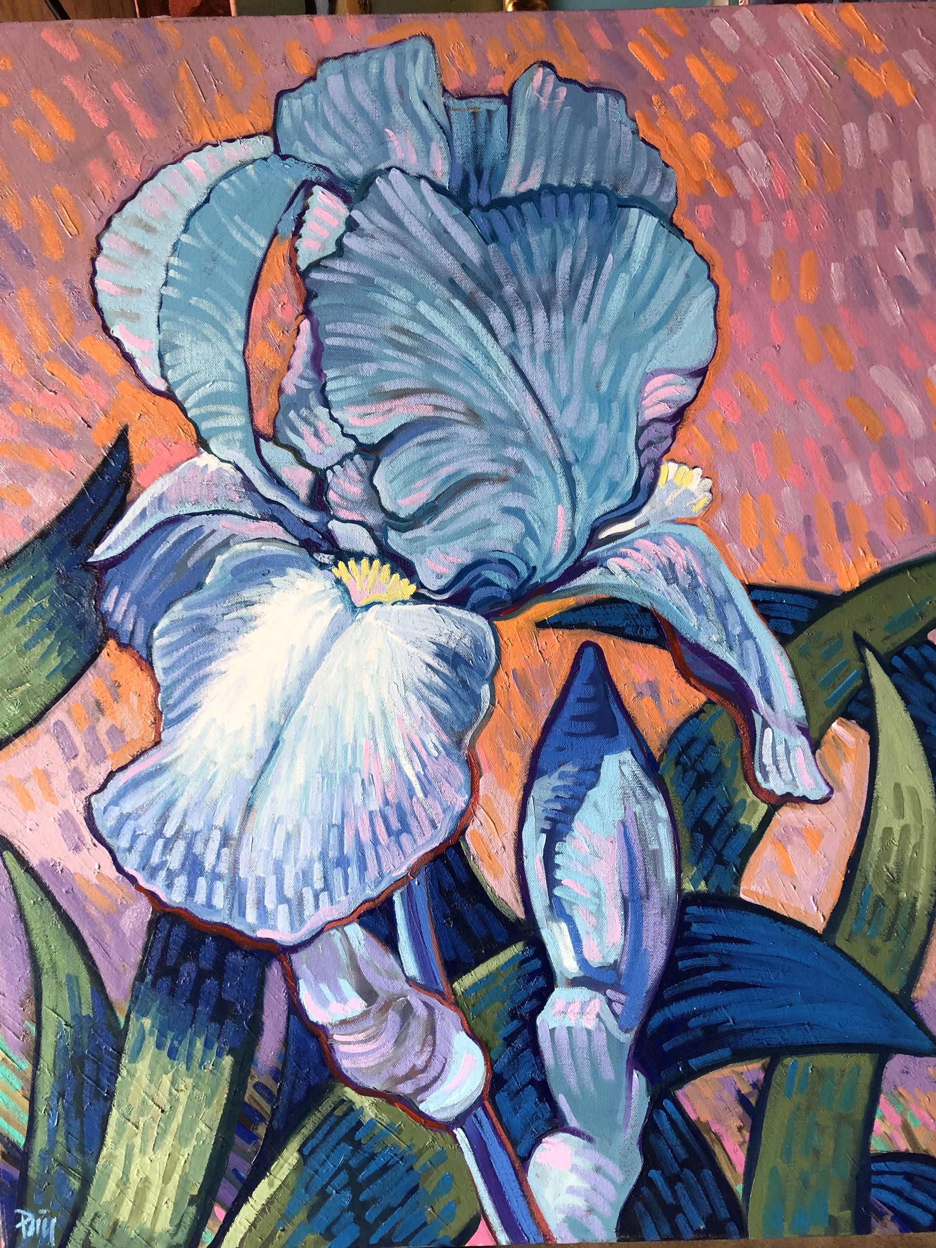 Iris by Brad Price