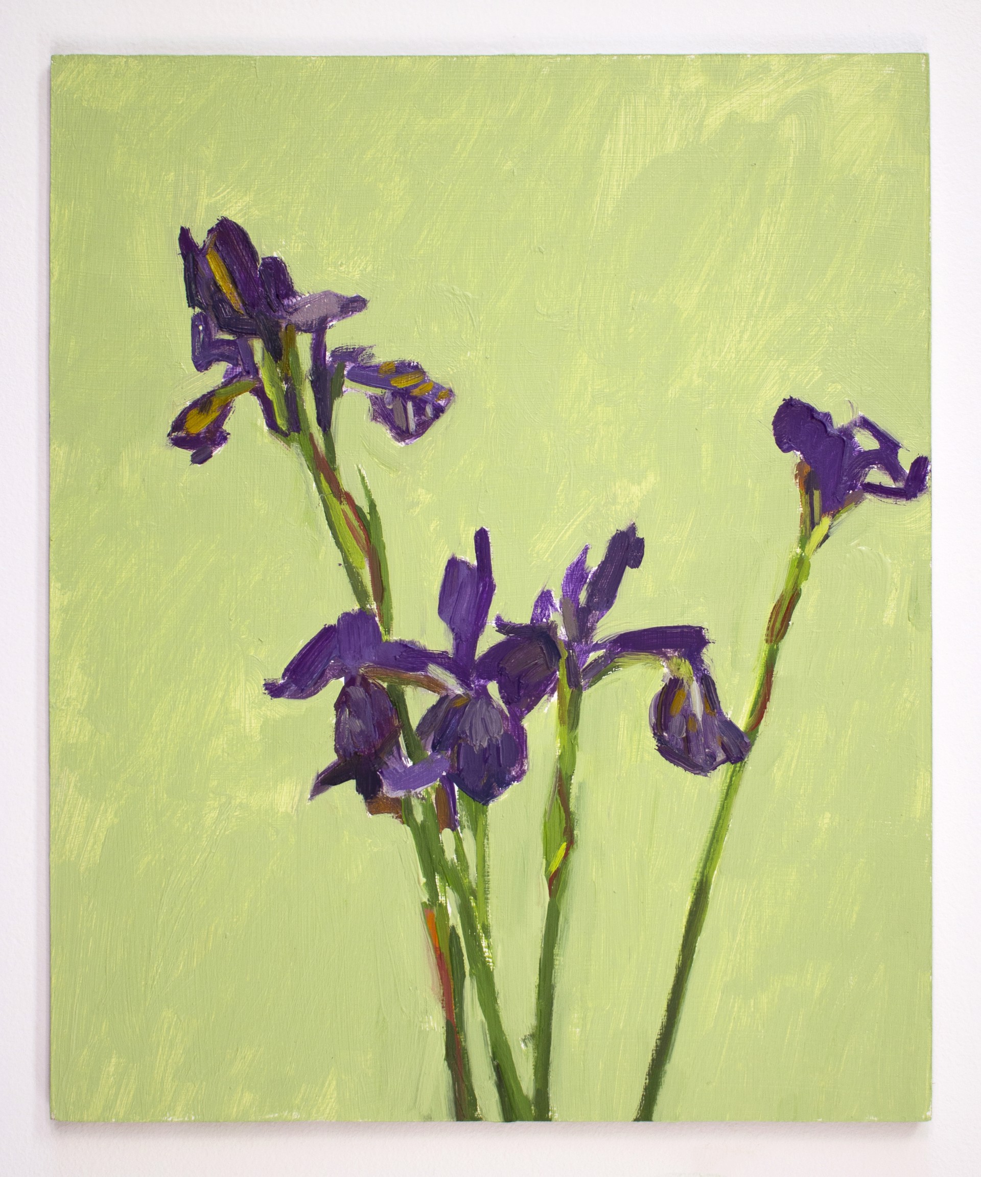 Delicate Irises by Christina Renfer Vogel