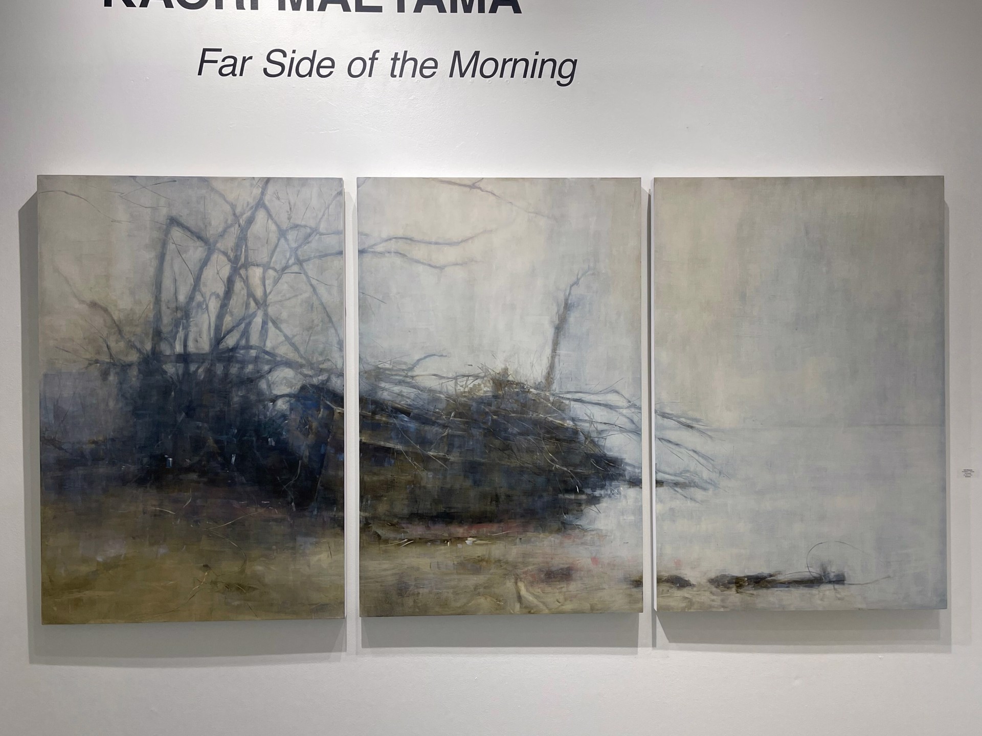 The Batture X: Solitude by Kaori Maeyama