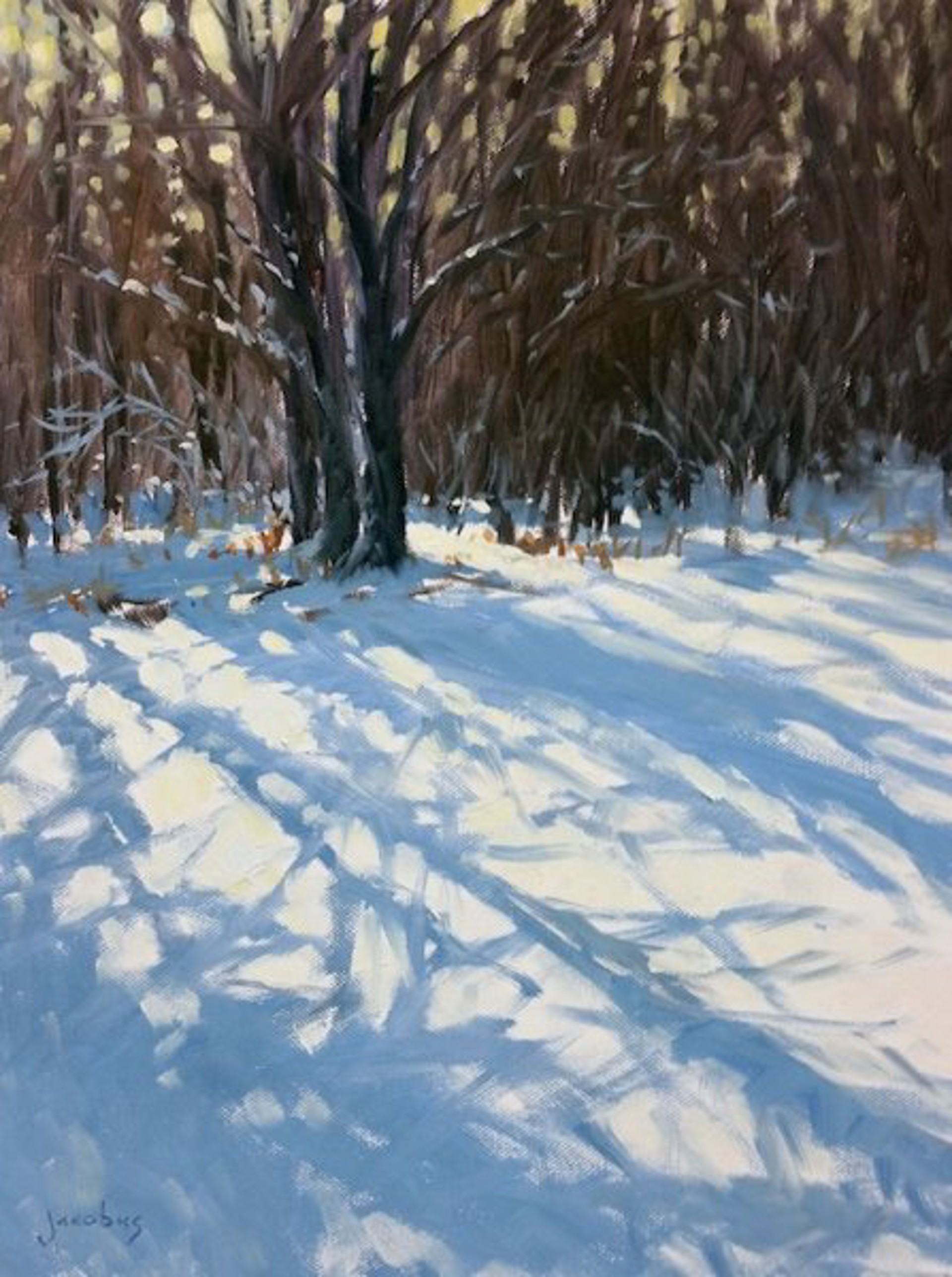 Jacobus:Snow Shadows by Jacobus Baas