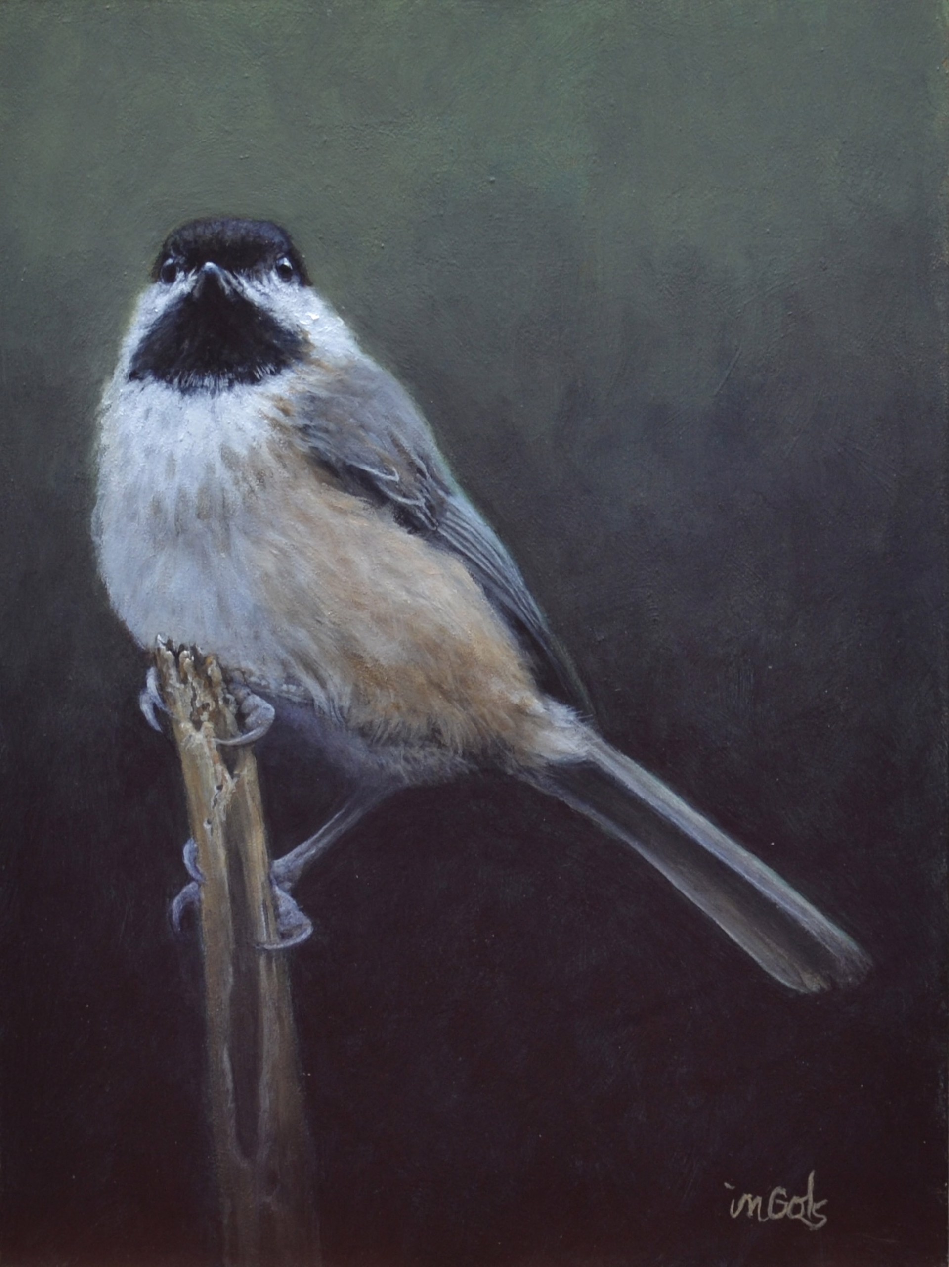 King of the Chickadees by Jane Ingols