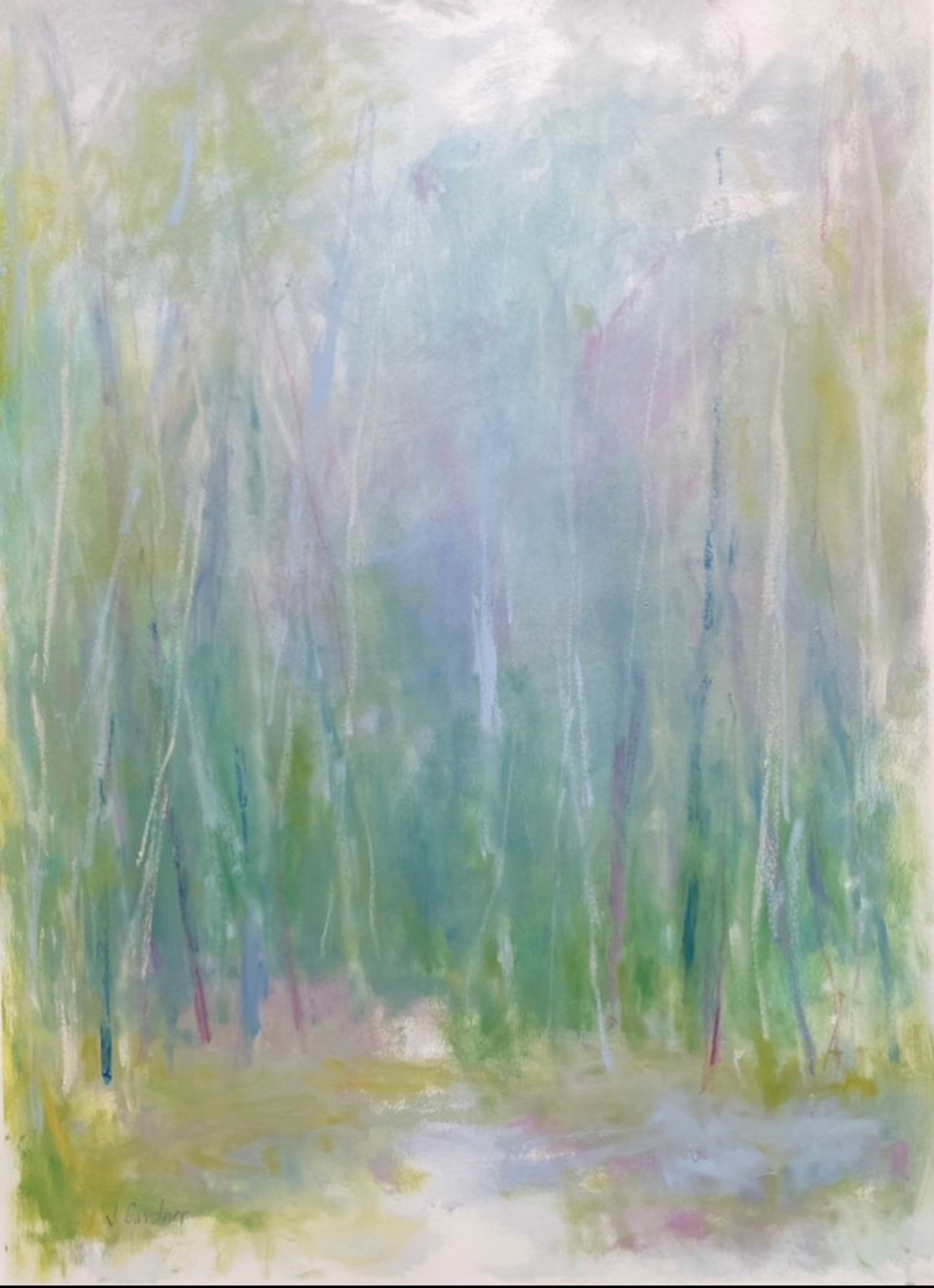 Cypress Trees in Springtime (Framed) by Joy Gardner