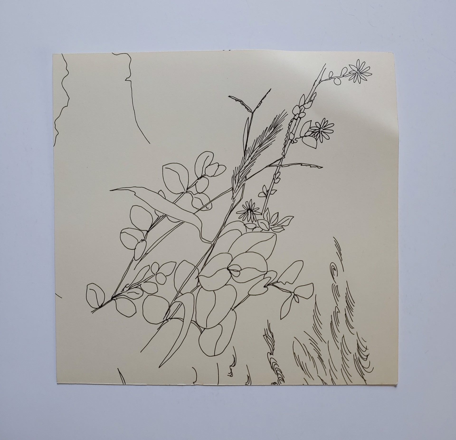 Small Flowers Drawing by David Amdur