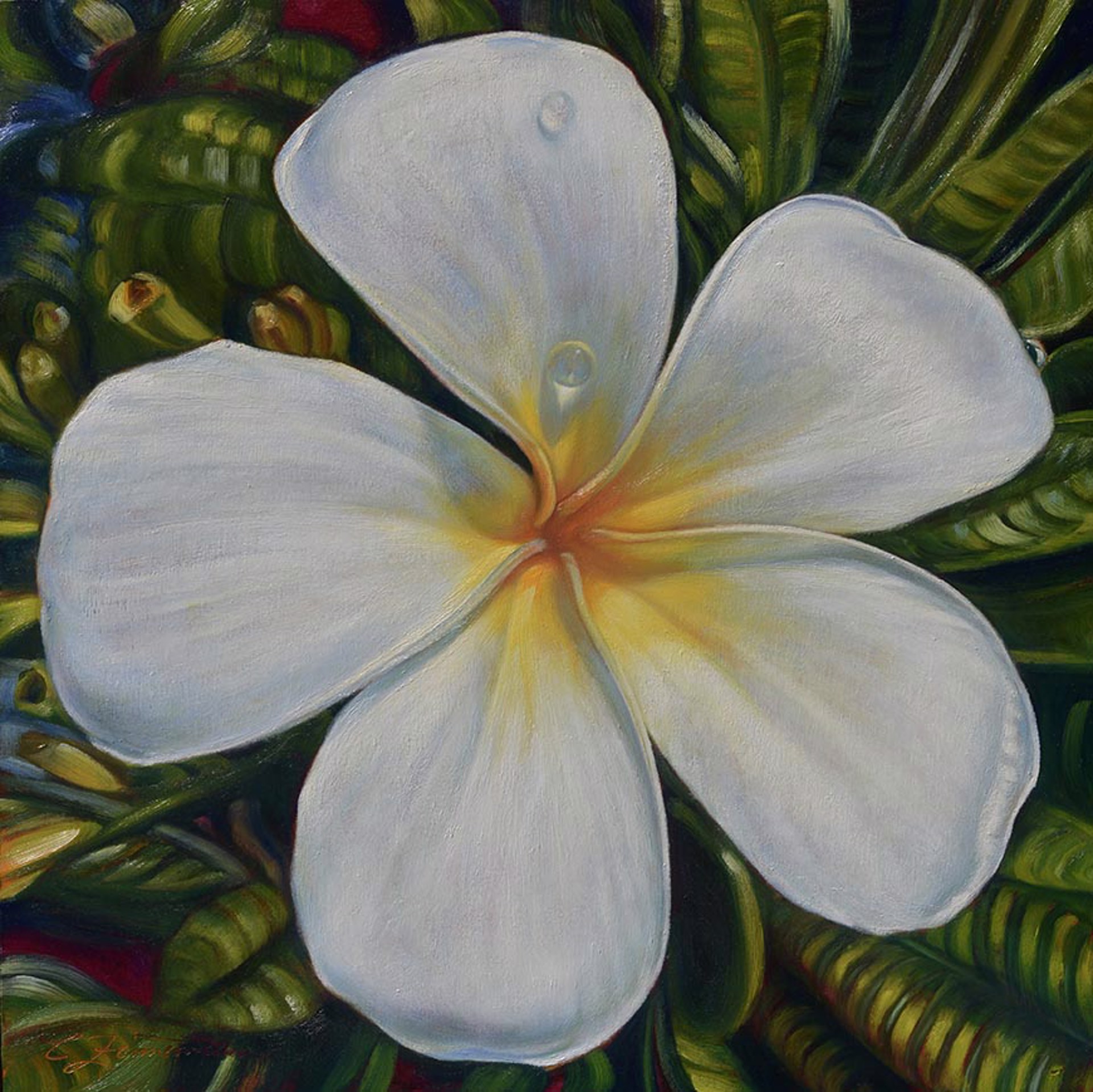 Plumeria - SOLD by Commission Possibilities / Previously Sold ZX