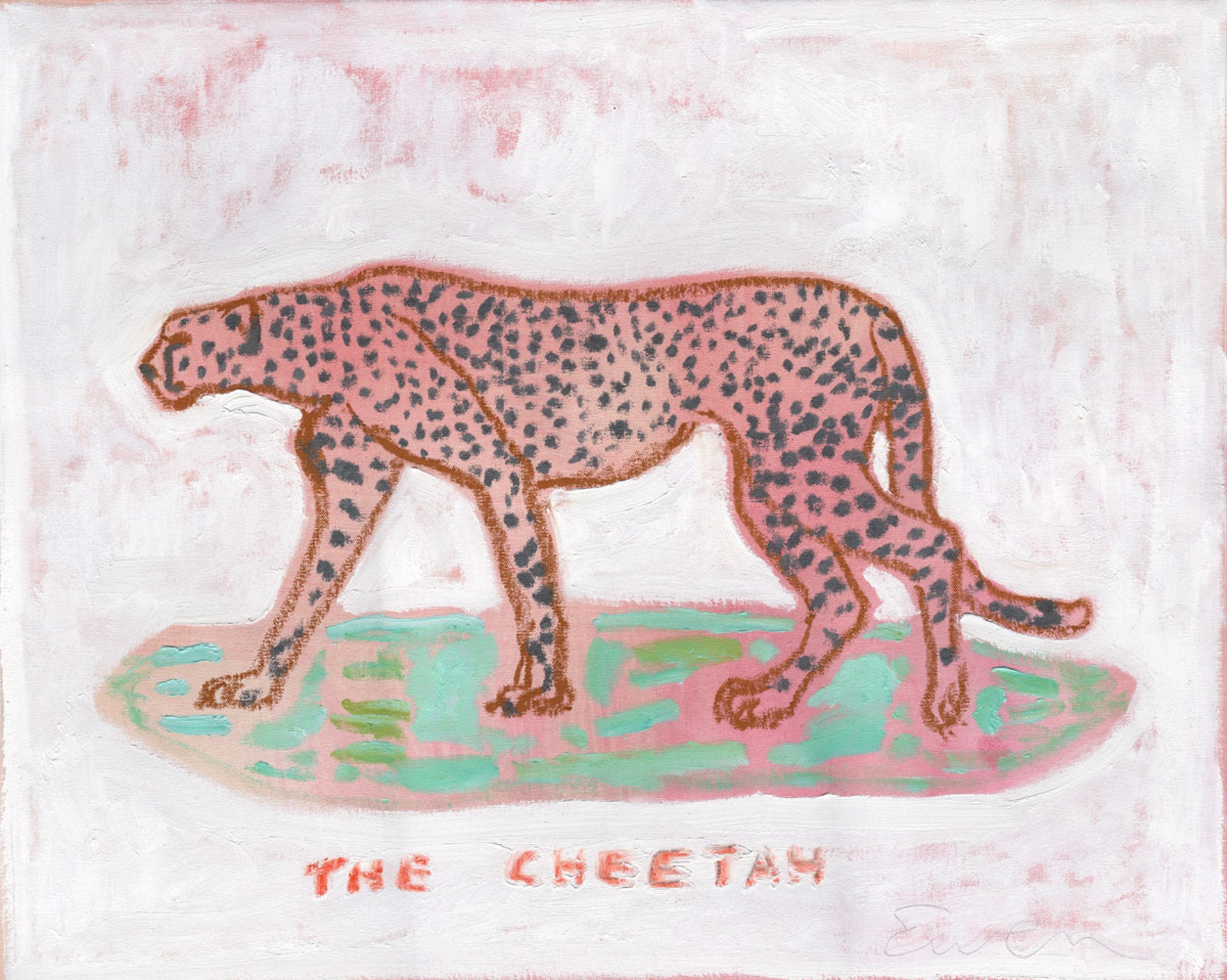 The Cheetah by Anne-Louise Ewen