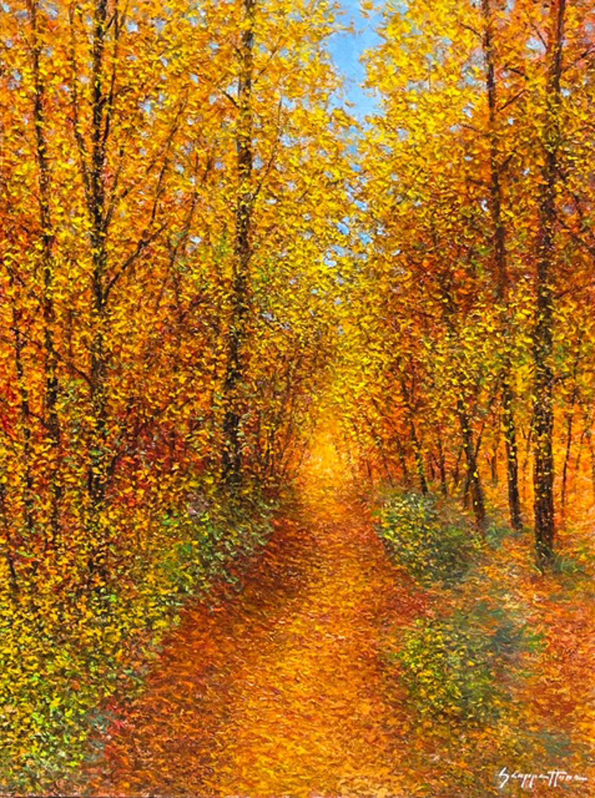 New Autumn Trail by James Scoppettone