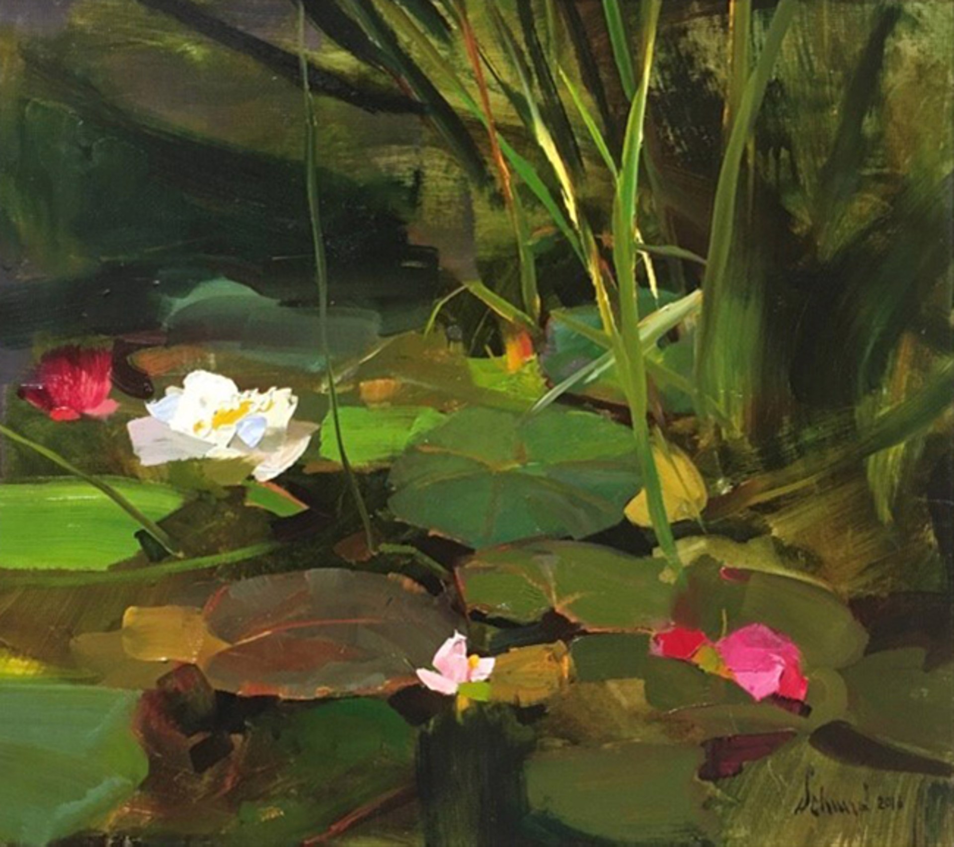 Water Lilies by Richard Schmid
