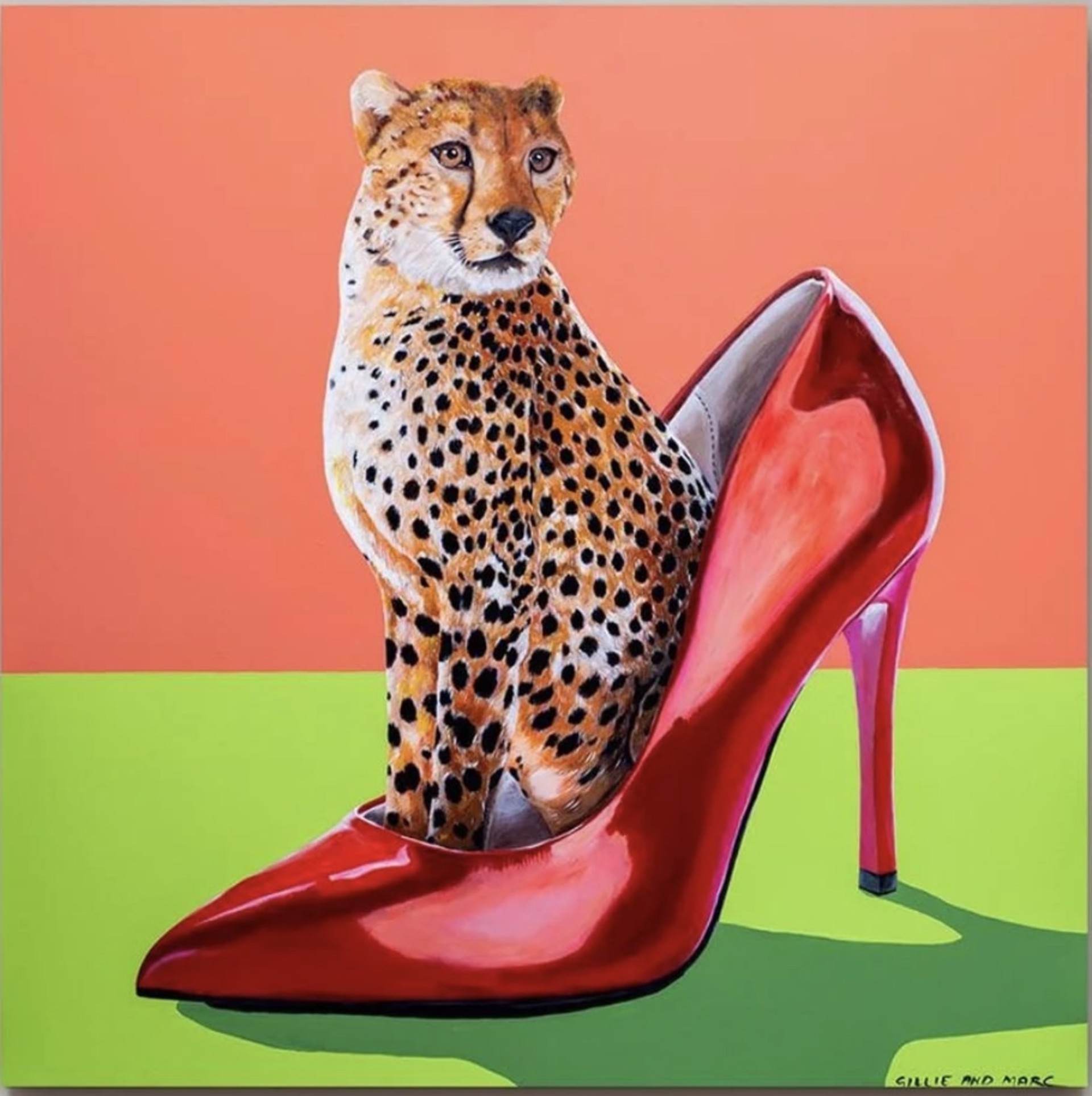 My Favorite Cheetah In A Shoe by Gillie & Marc