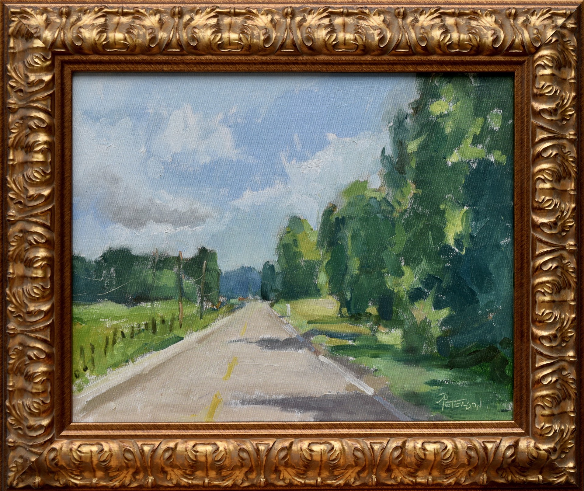 County Road, Summer by Amy R. Peterson