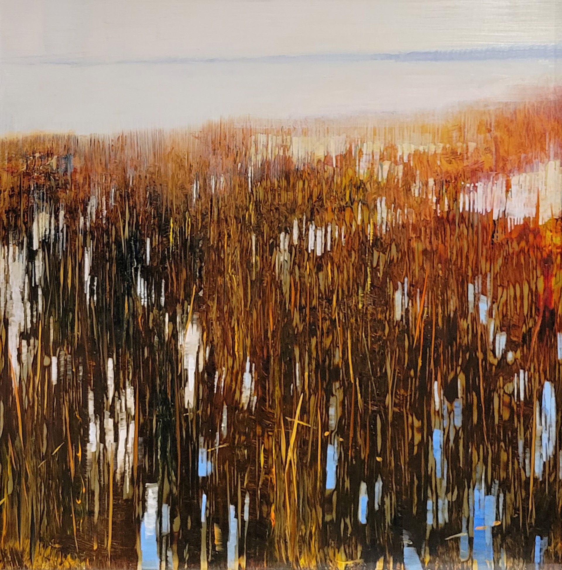 Shoregrass Mystery by David Dunlop