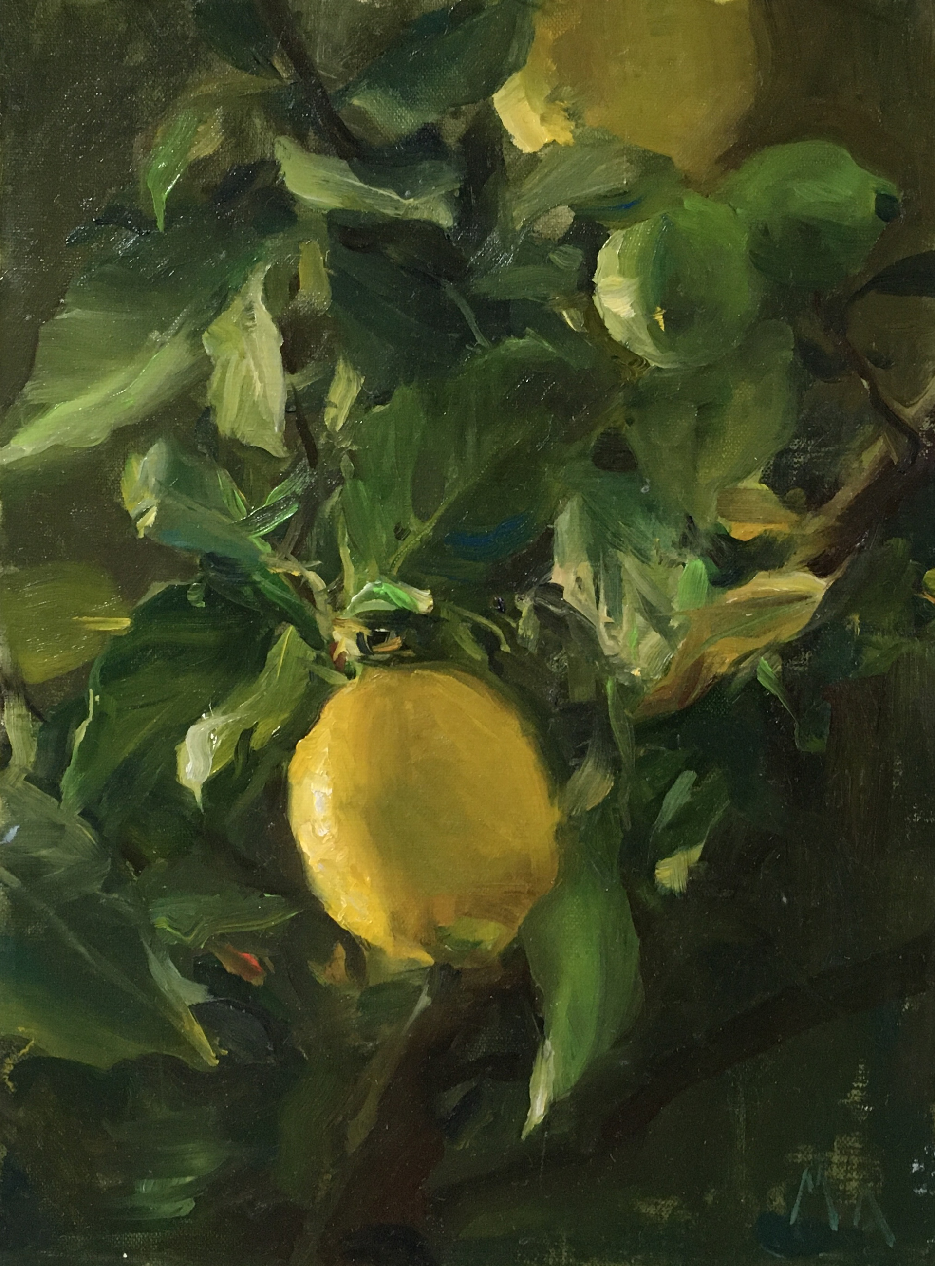 Lemons by Kyle Ma