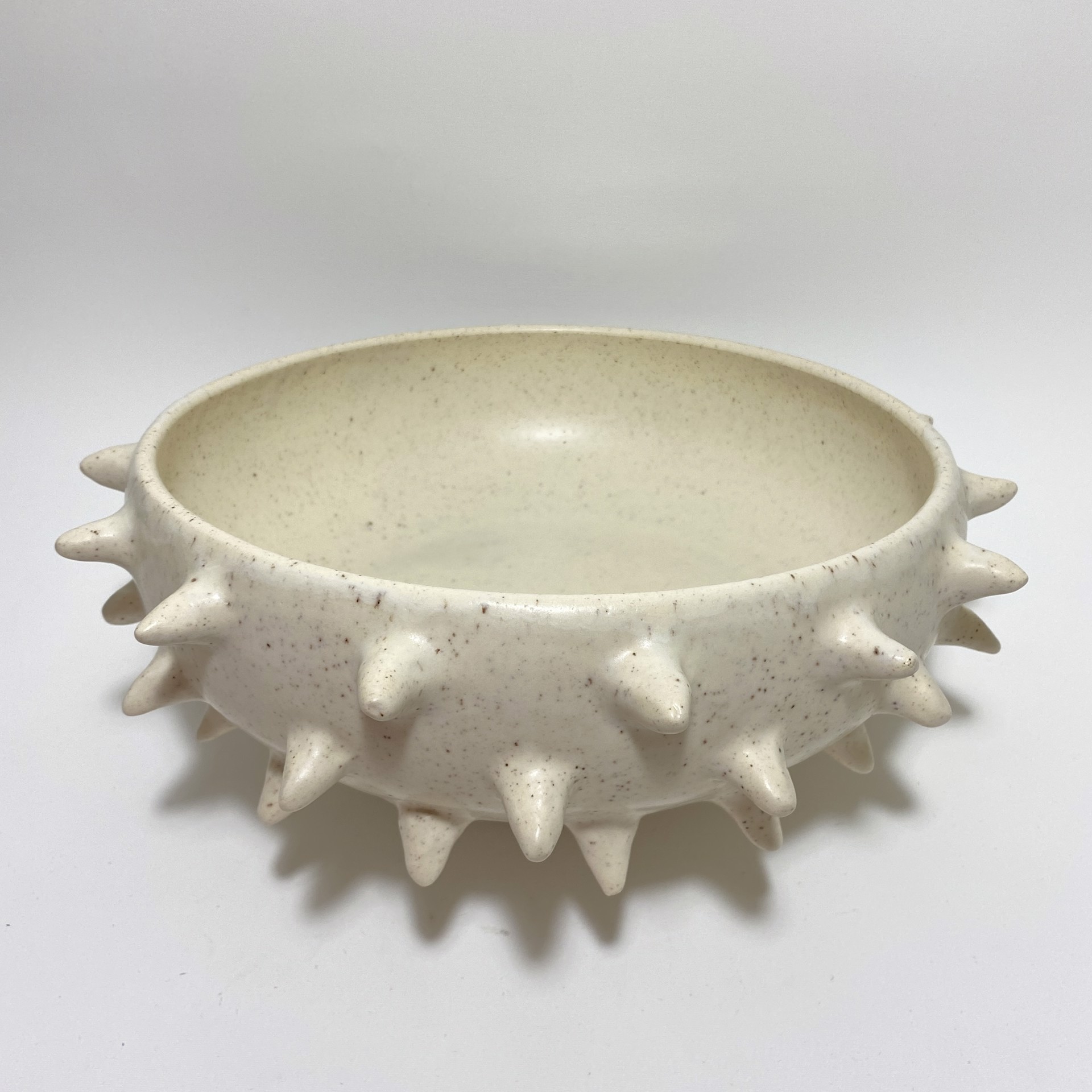 Spike Bowl by Darshana Patel