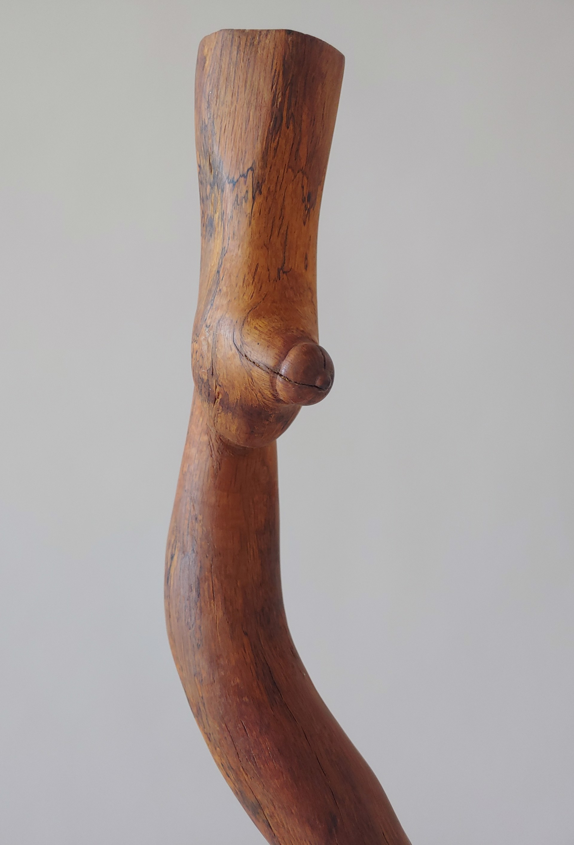 Acorn - Wood Sculpture by David Amdur