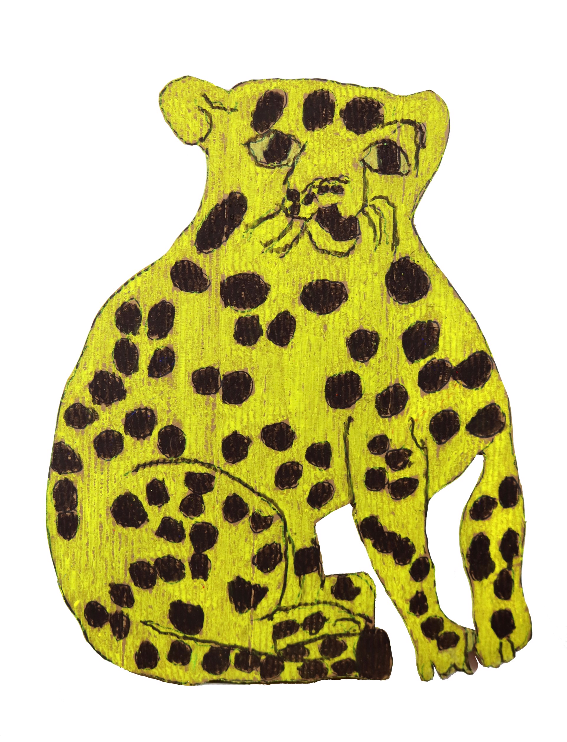Leopard by Paul Lewis