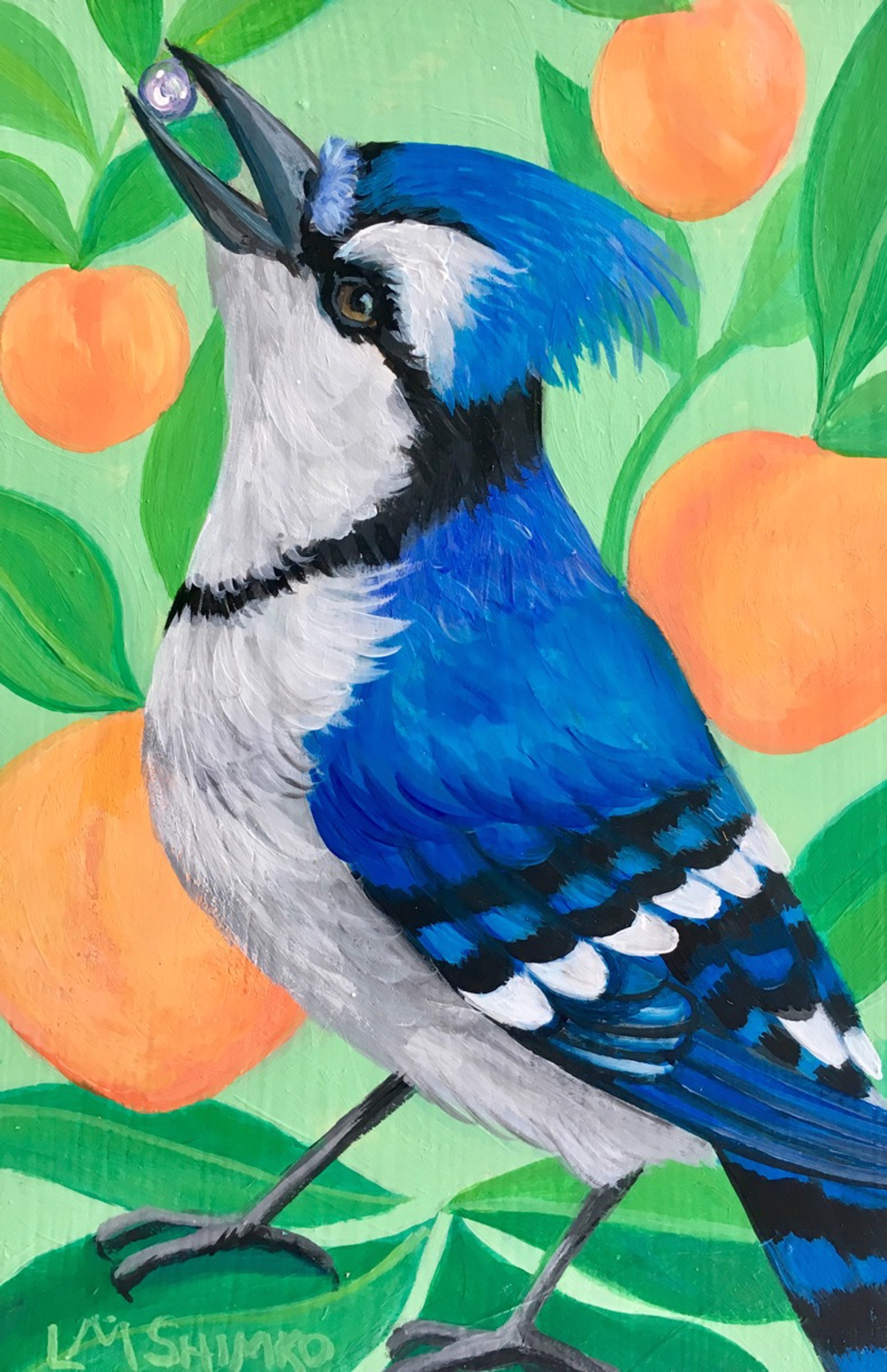 Pearl Peach Blue Jay I by Lisa Shimko