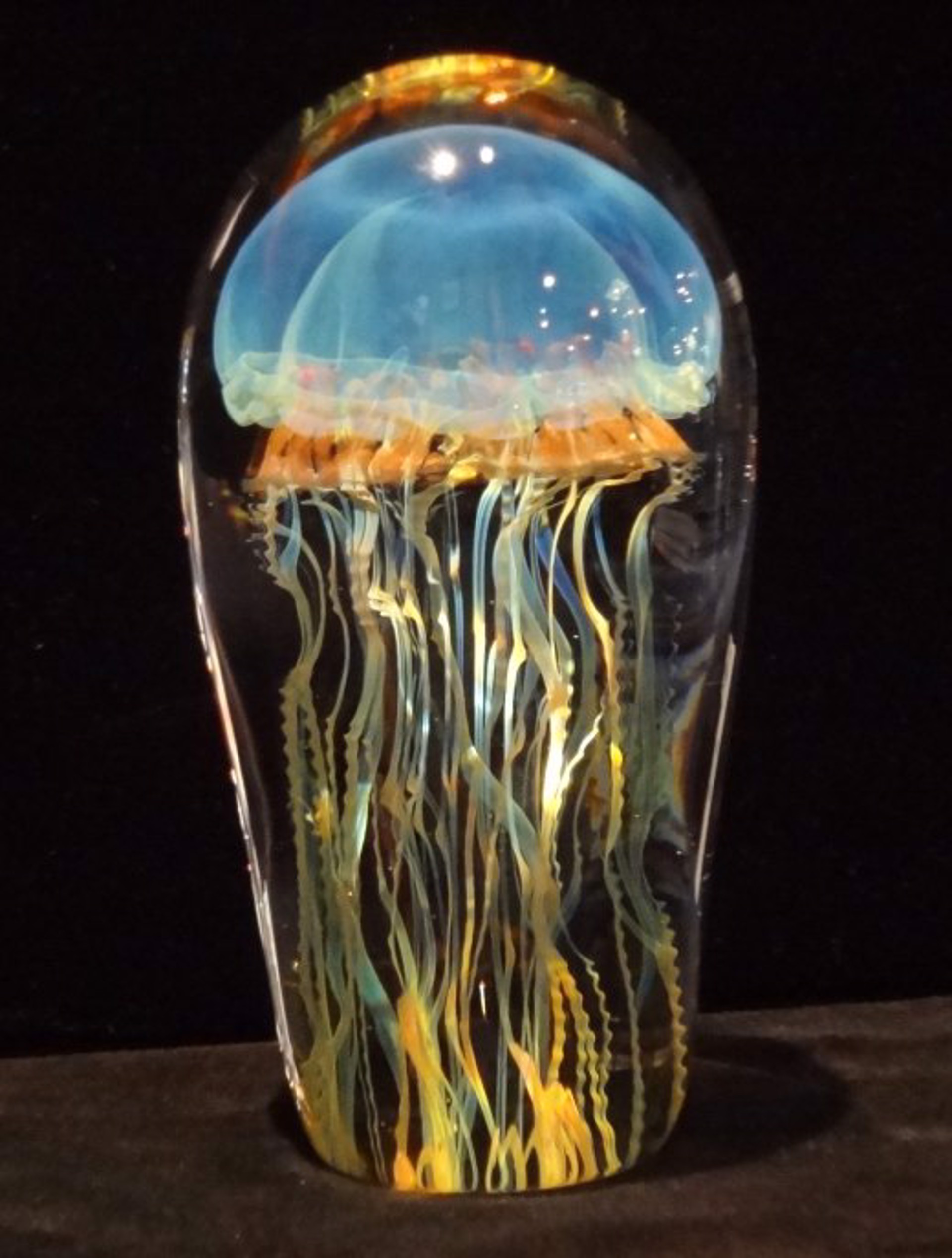 Moon Jellyfish 6.5" by RICHARD SATAVA