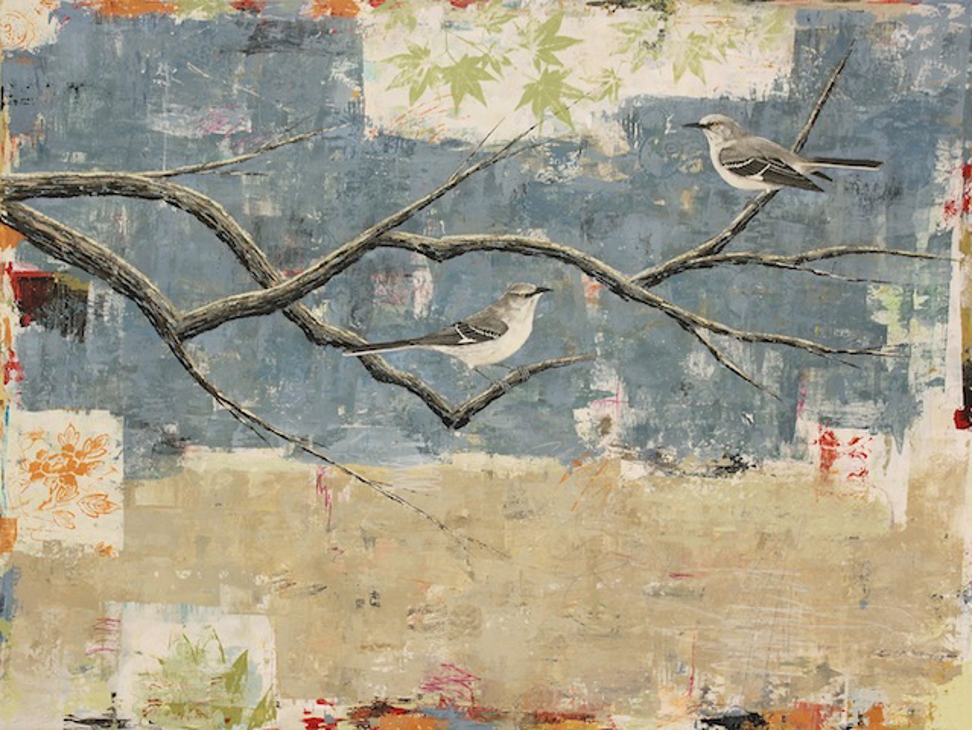 Northern Mockingbirds by Paul Brigham