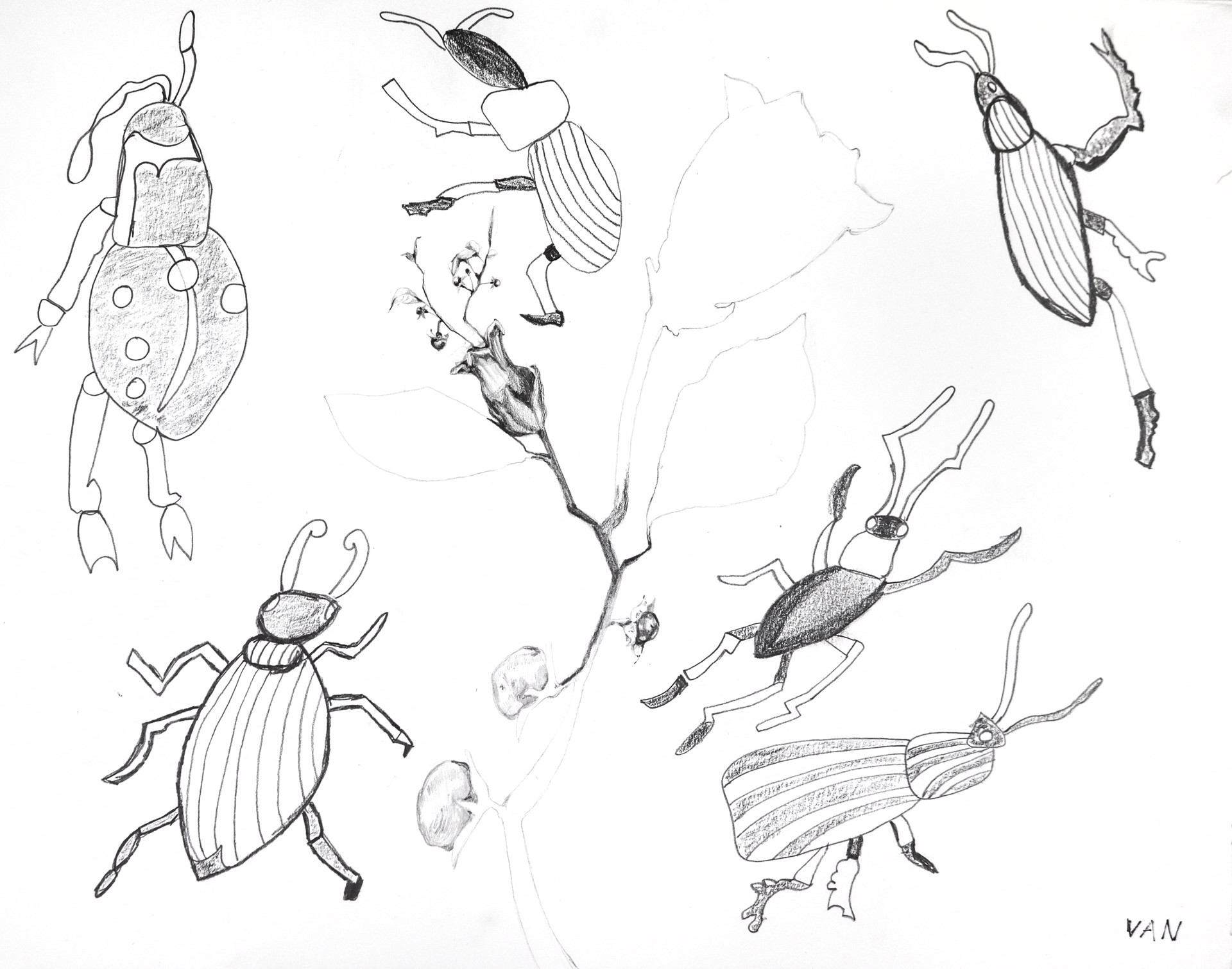 Collaborative Drawing with visiting artist Laura Grothaus (Bugs and Flower) by Vanessa Monroe