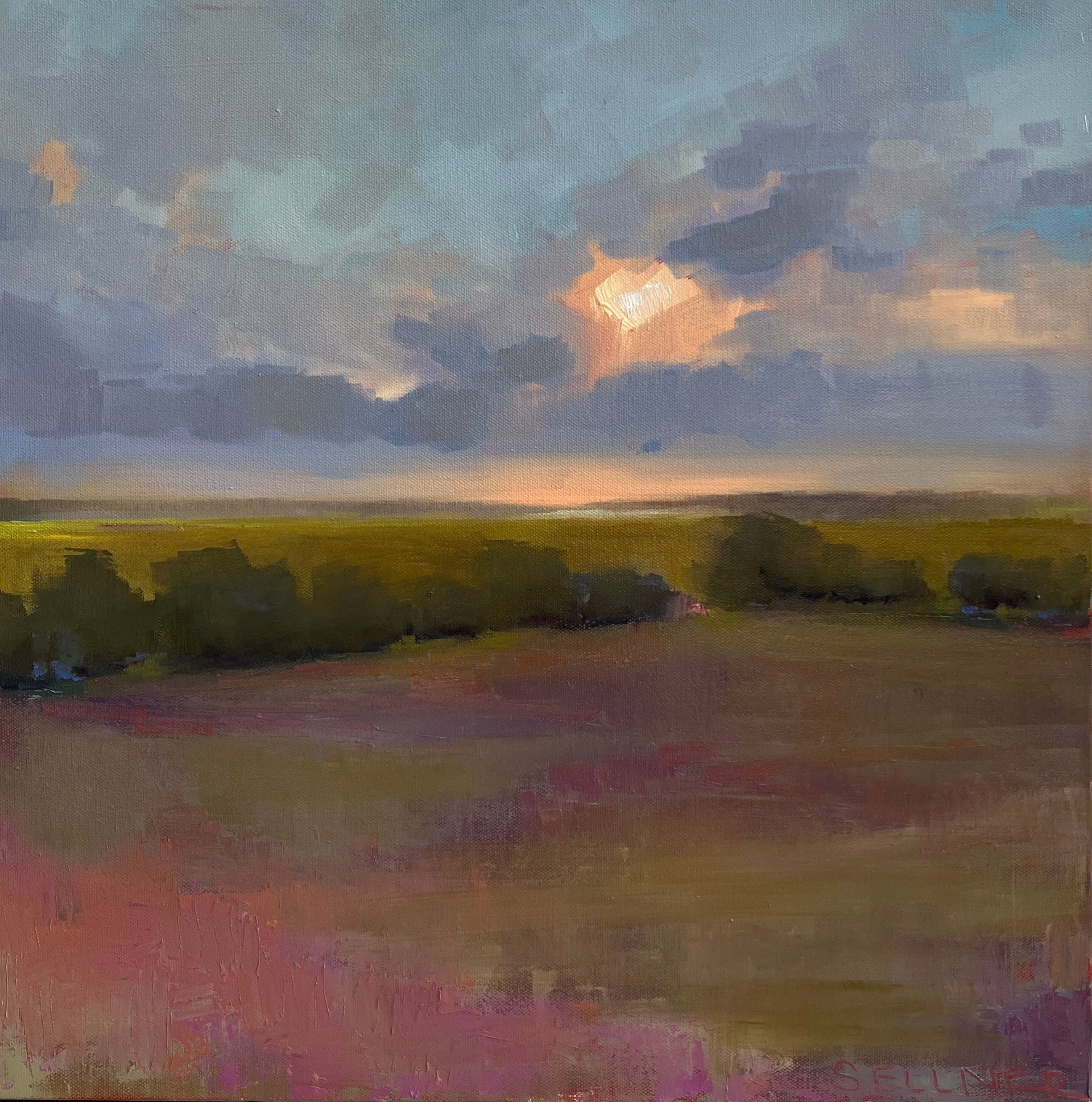 Fall Marsh by Ashley Sellner