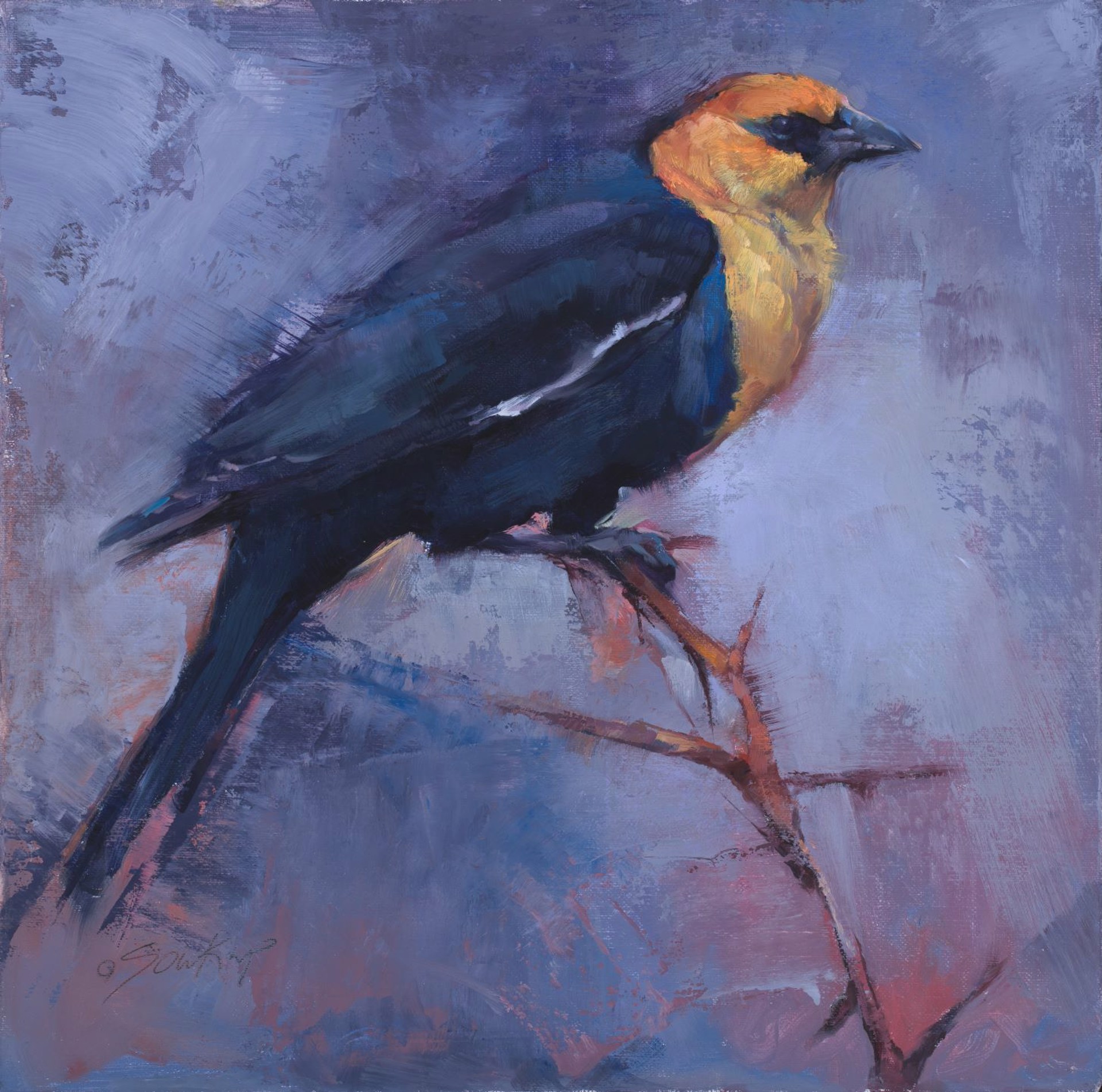 Yellow Headed Blackbird by Jill Soukup
