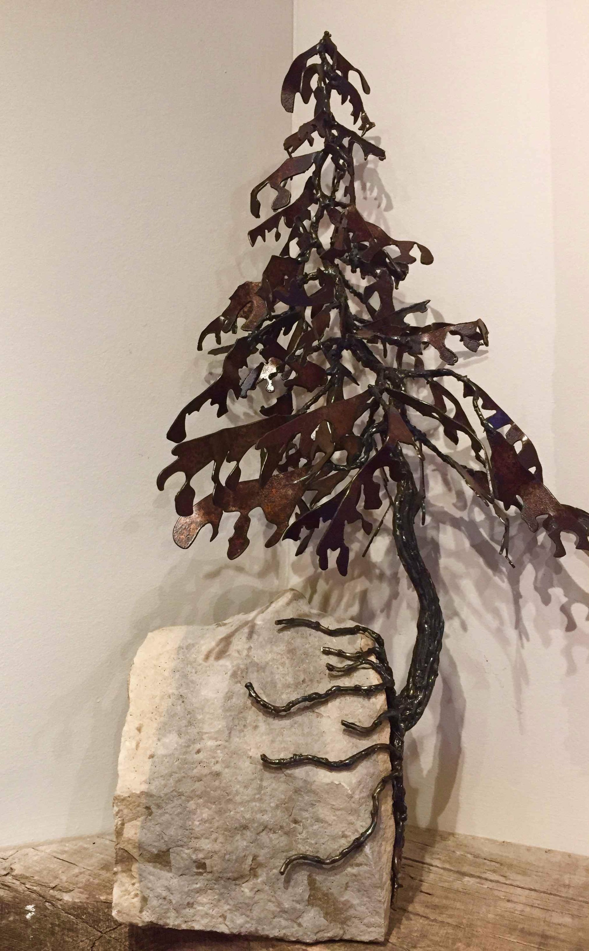 Pine Tree in Rock 17-607 by Floyd Elzinga