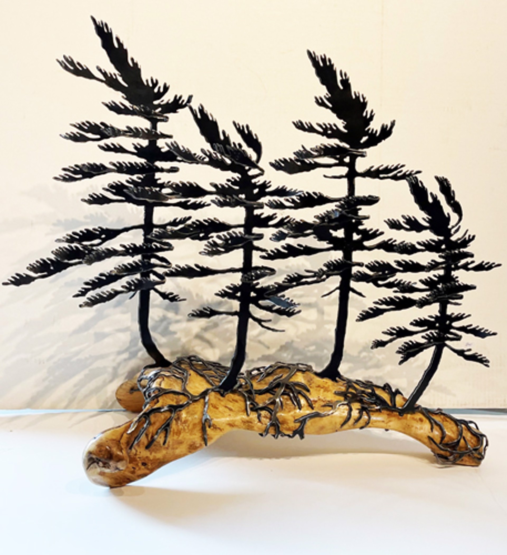 Four Windswept Pine on Maple 659538 by Cathy Mark