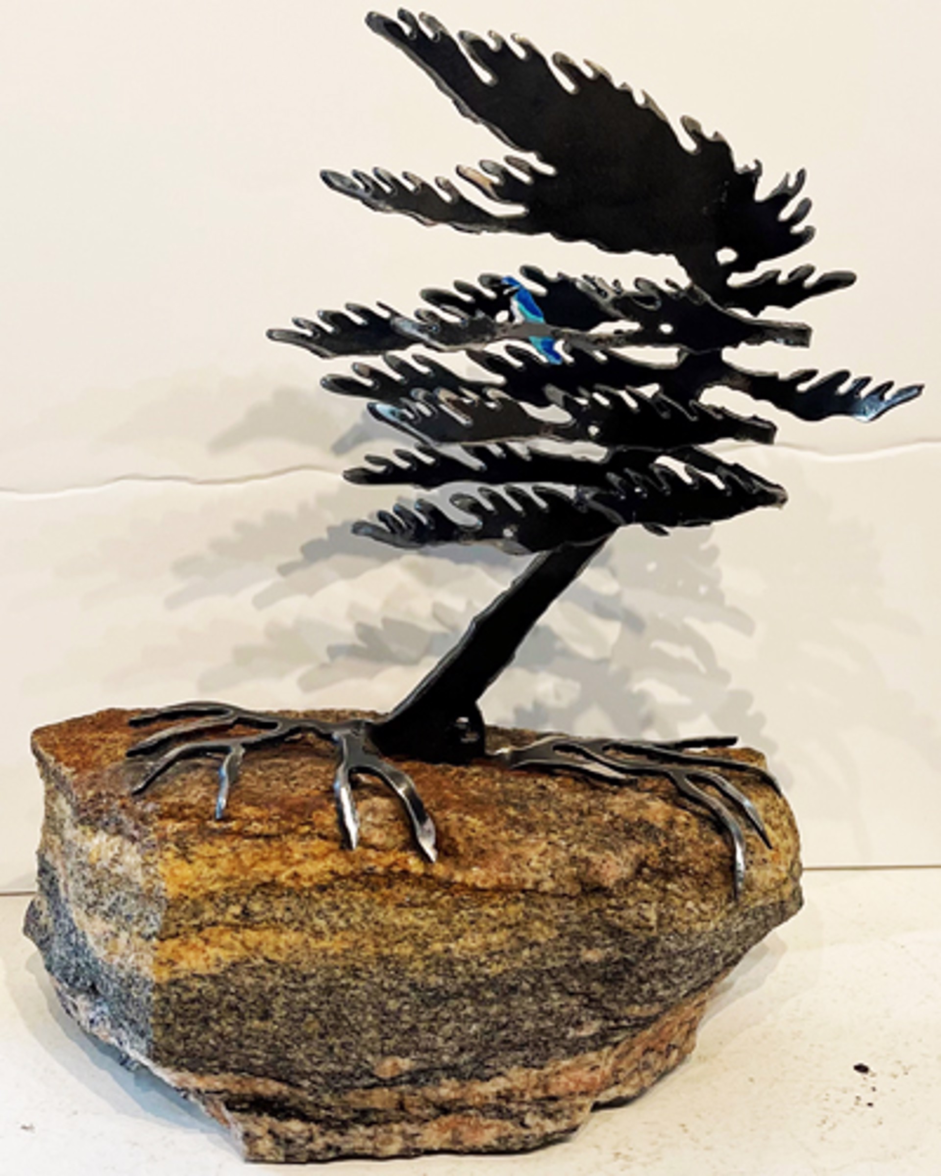 Windswept Pine 659517 by Cathy Mark