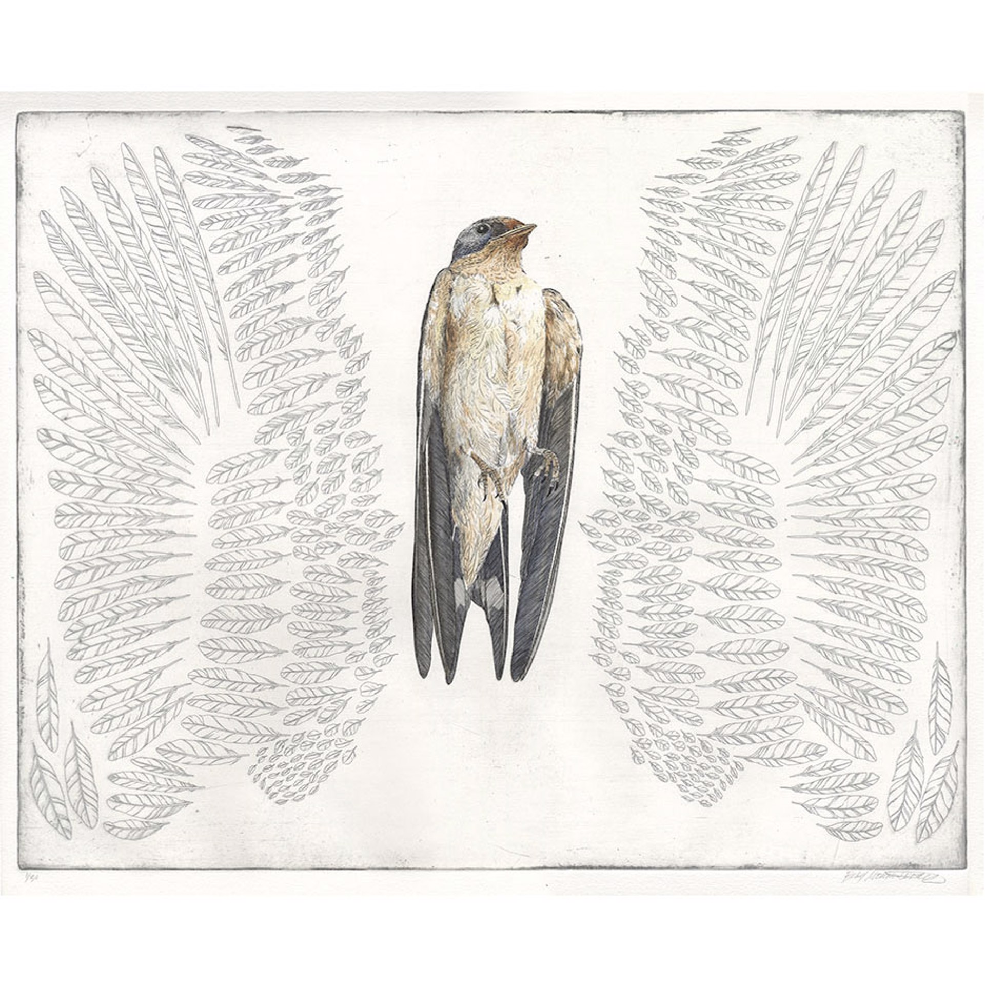Heavenly Swallow by Briony Morrow-Cribbs