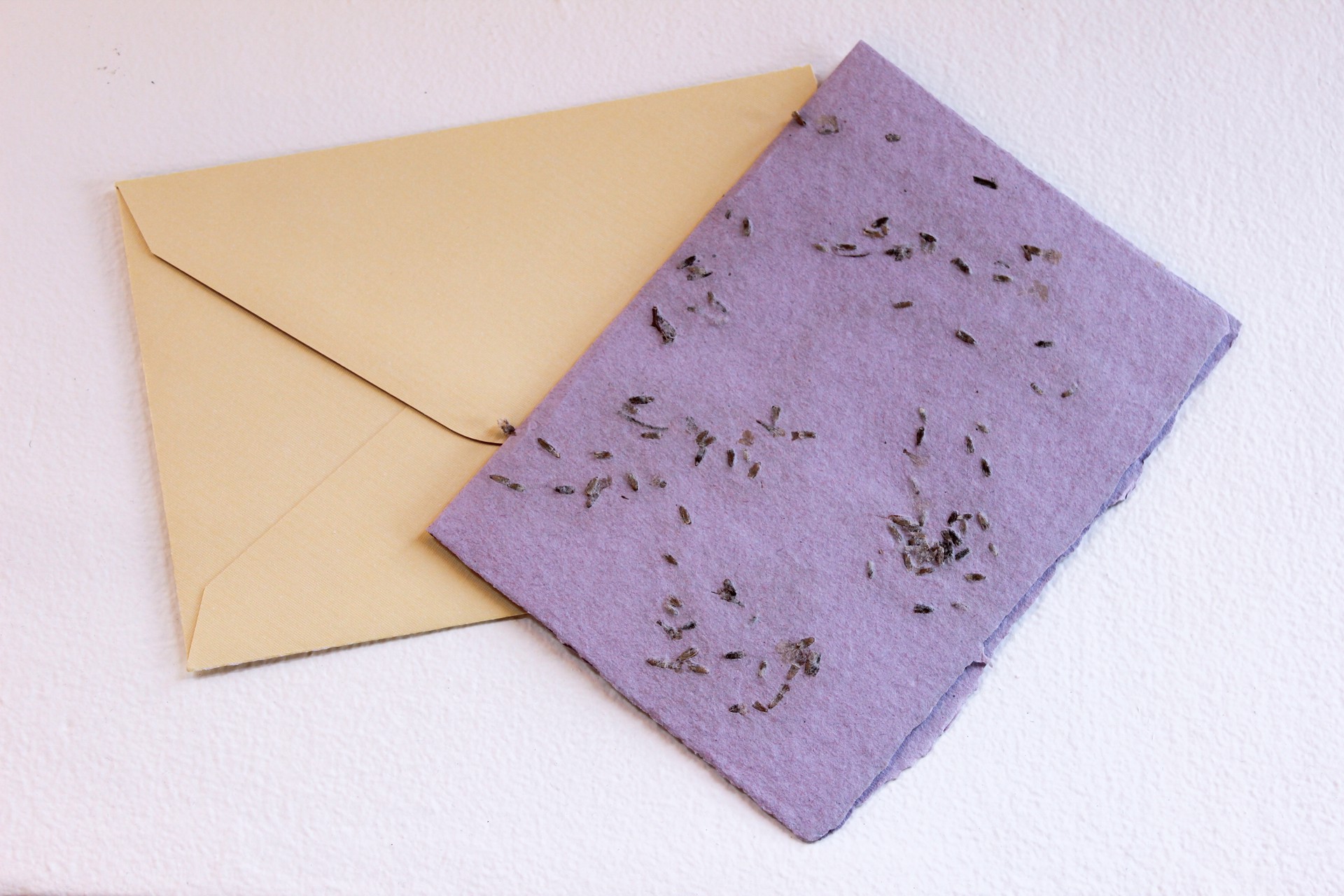 Notecard - Lavender Embedded by Beca Piascik