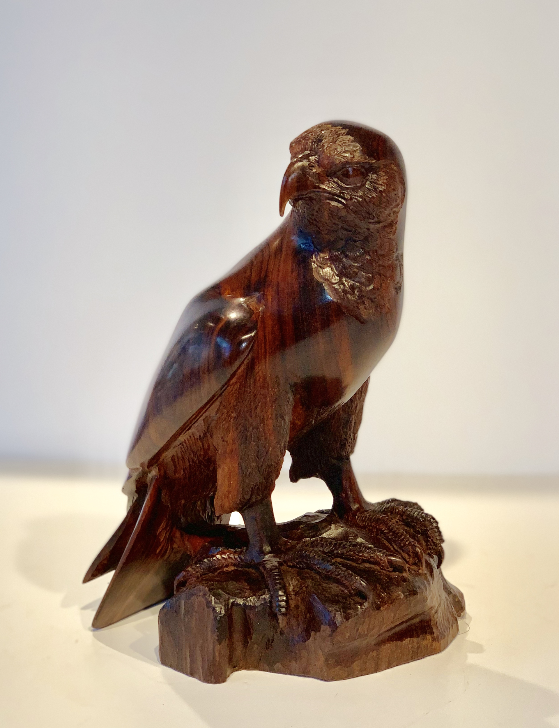 Peregrine Falcon by Thomas Suby