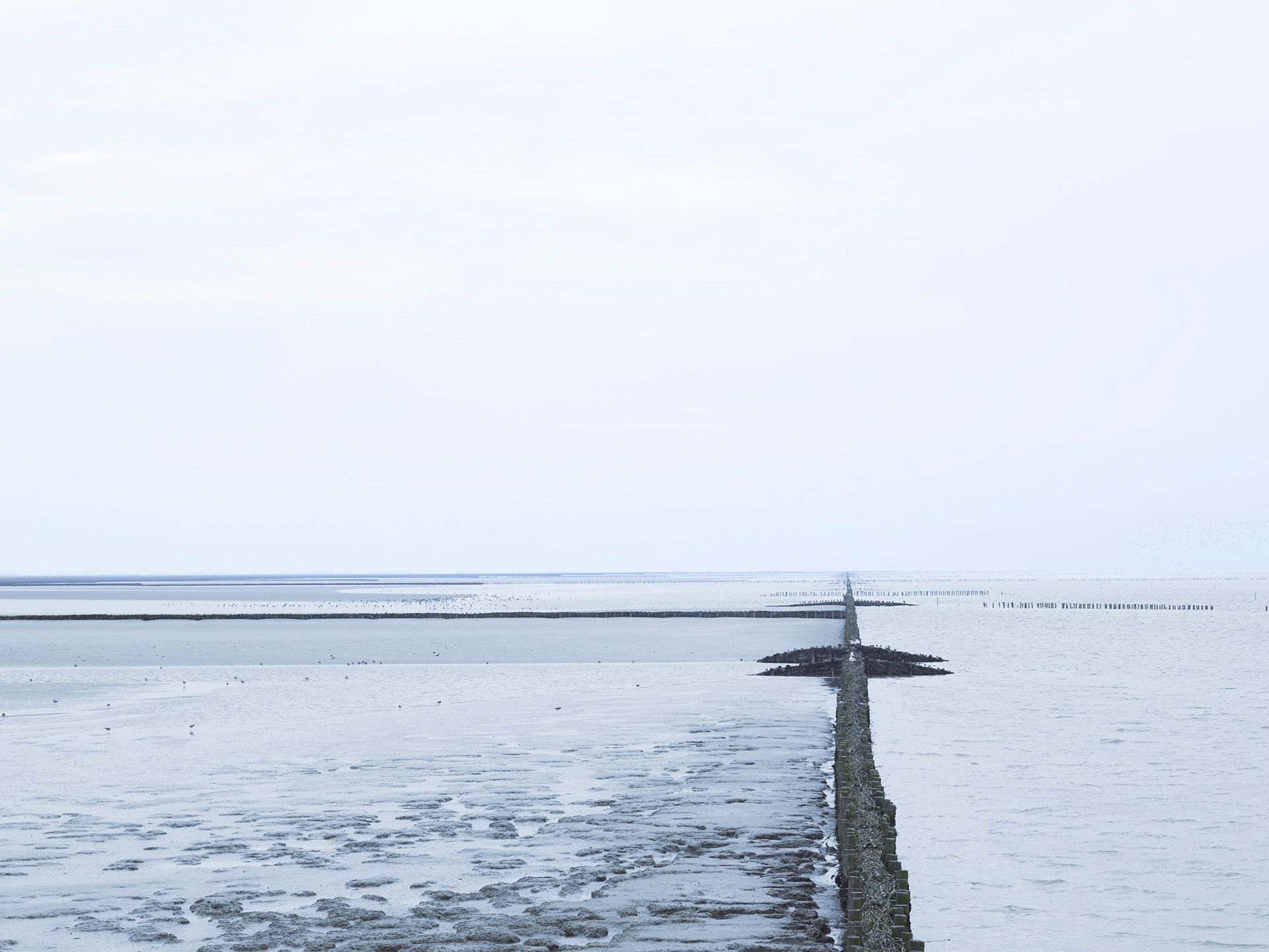 North Sea, Netherlands by David Burdeny