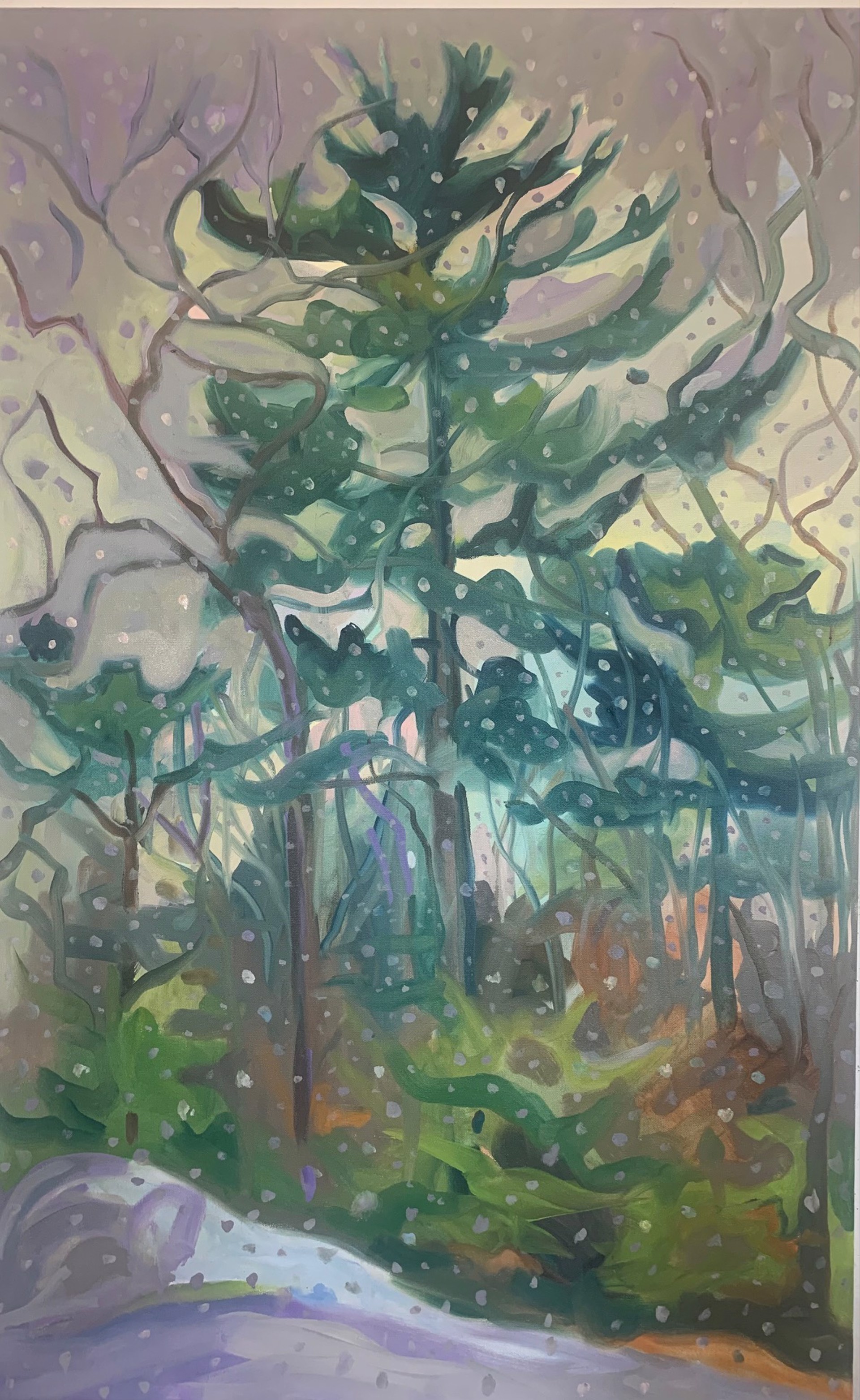 Bull Pine in Squall by Jill Hoy
