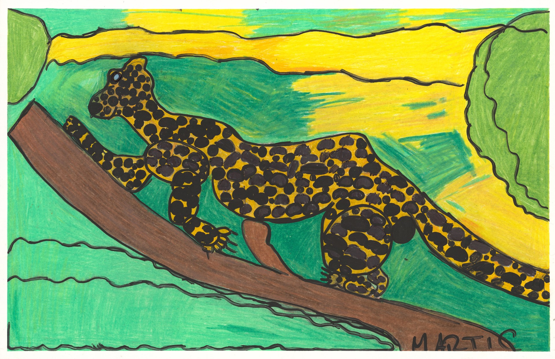 The African Leopard by Marti Clark