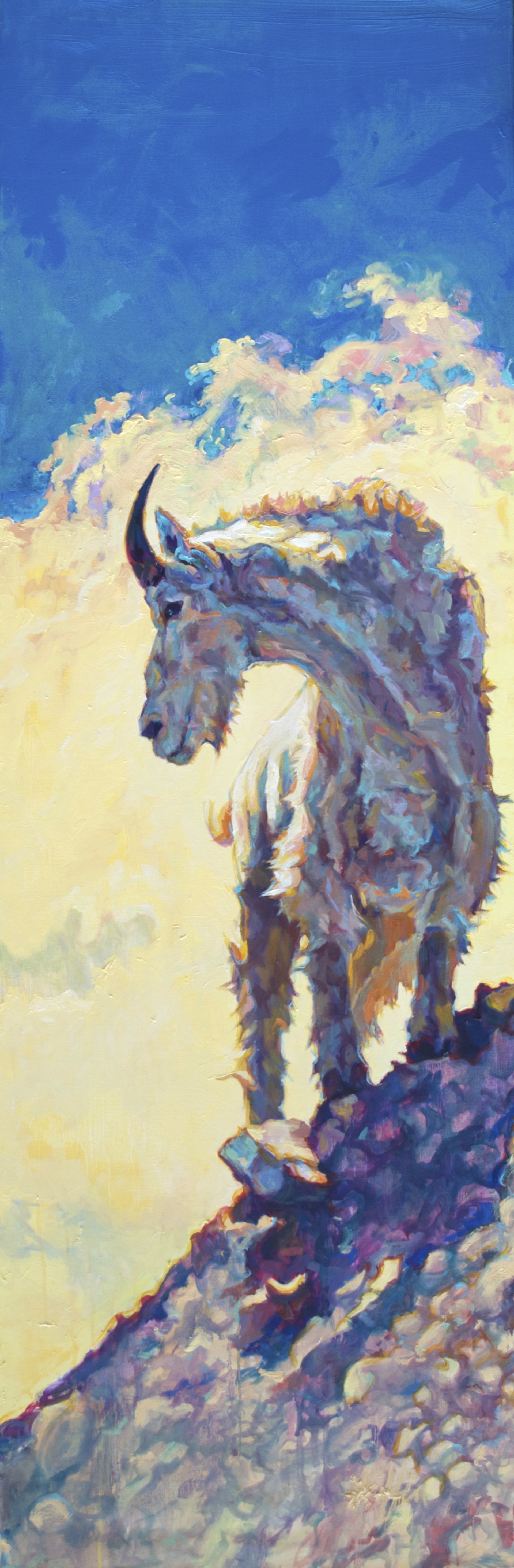 Sunlit Mountain Goat On Rocks By Patricia Griffin At Gallery Wild