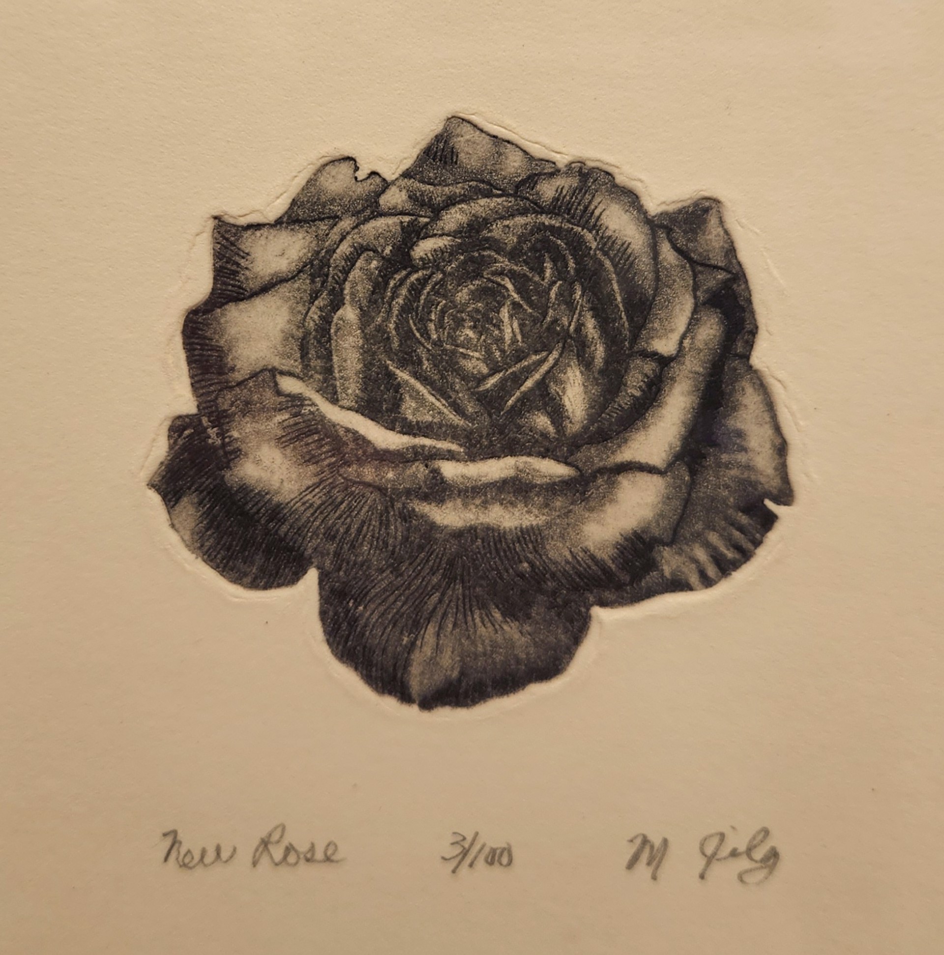 New Rose  (3/100) by Michael Florian Jilg
