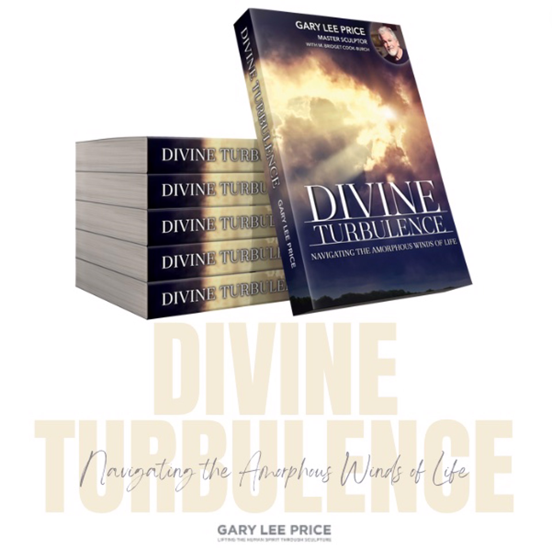 "Divine Turbulance" Soft Cover Book by Gary Lee Price