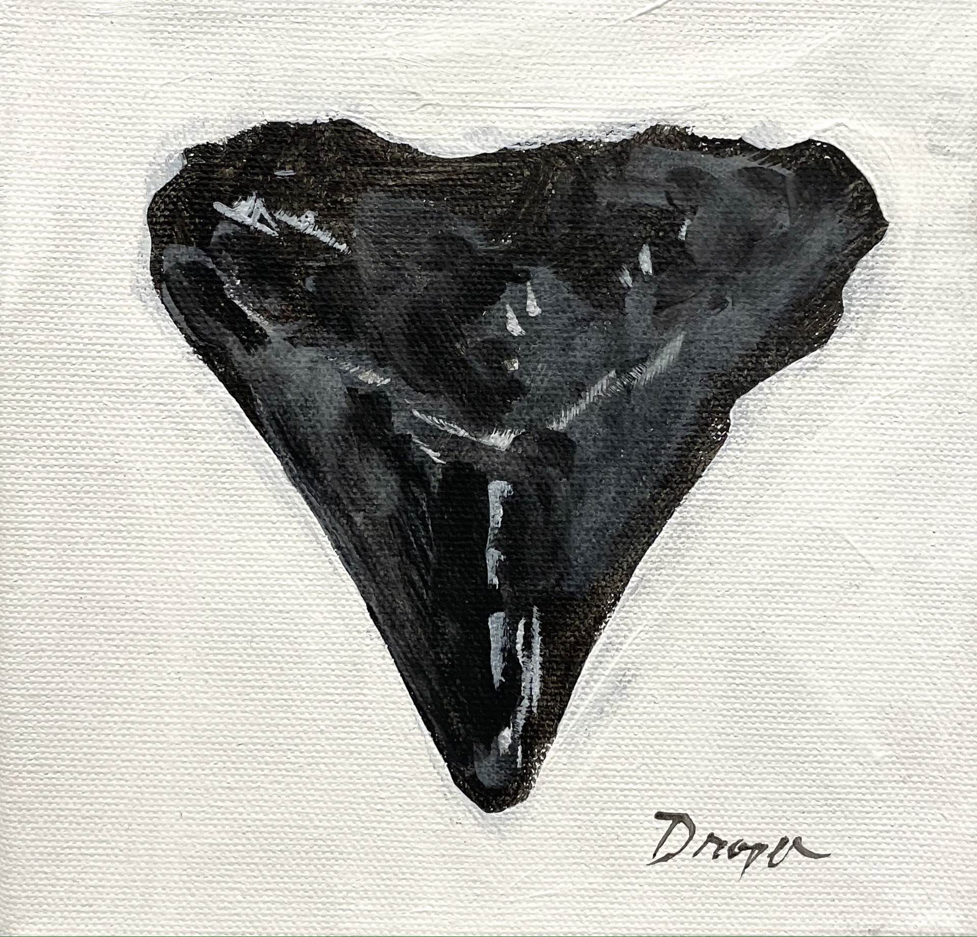 Mini Shark Tooth no. 3 by Jim Draper