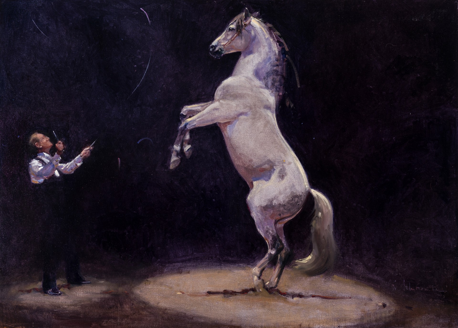 THE MAESTRO by Susie Whitcombe