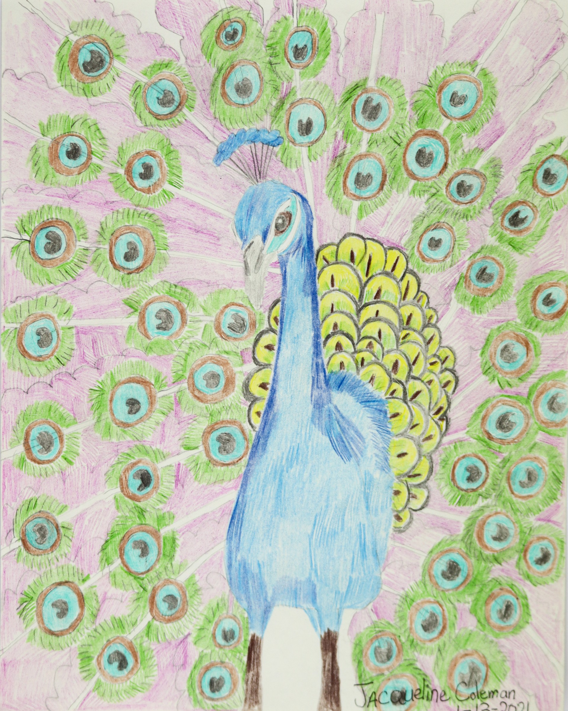 Peacock by Jacqueline Coleman