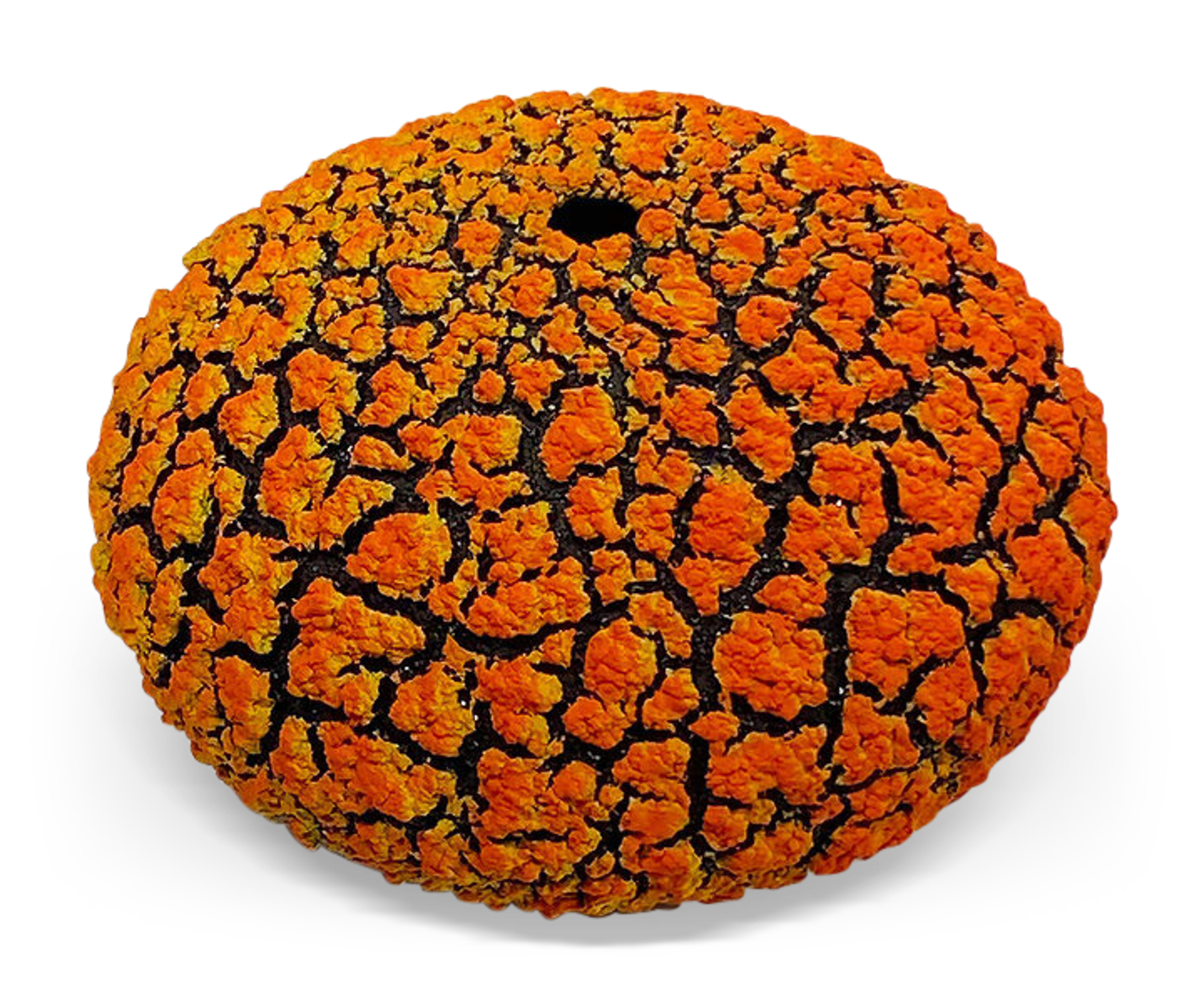 Lichen Vessel ~ Yellow/Orange by Randy O'Brien