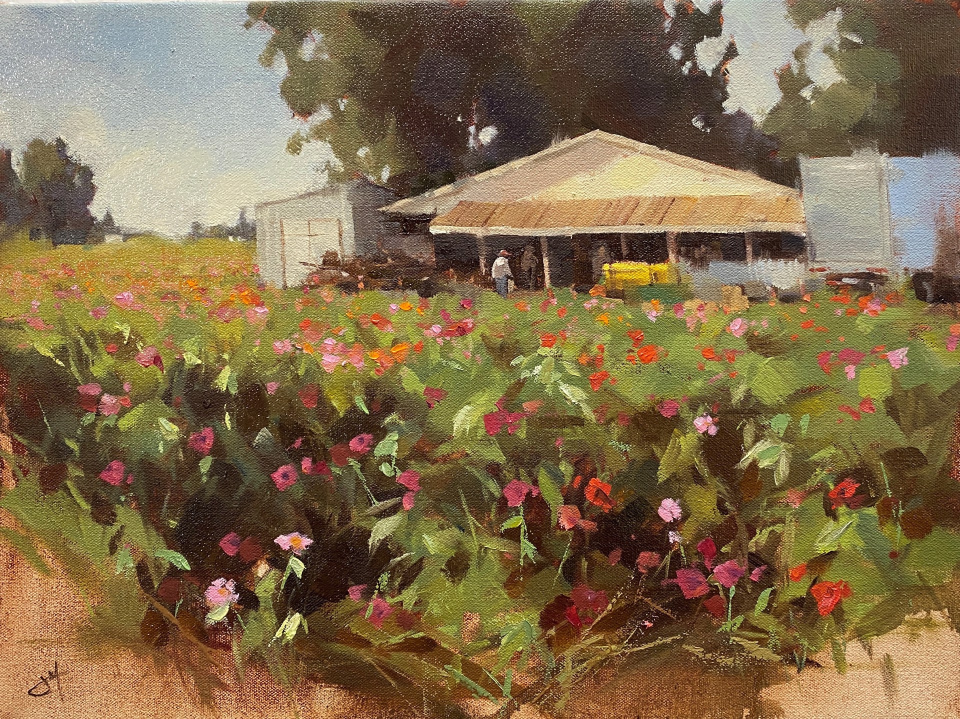 Flower Farm by Judd Mercer