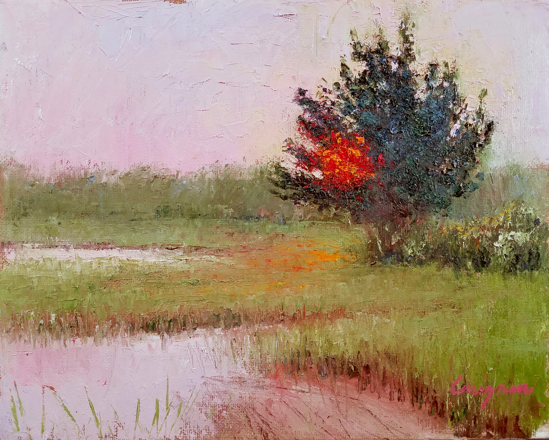 Marsh Sunrise by Todd Carignan