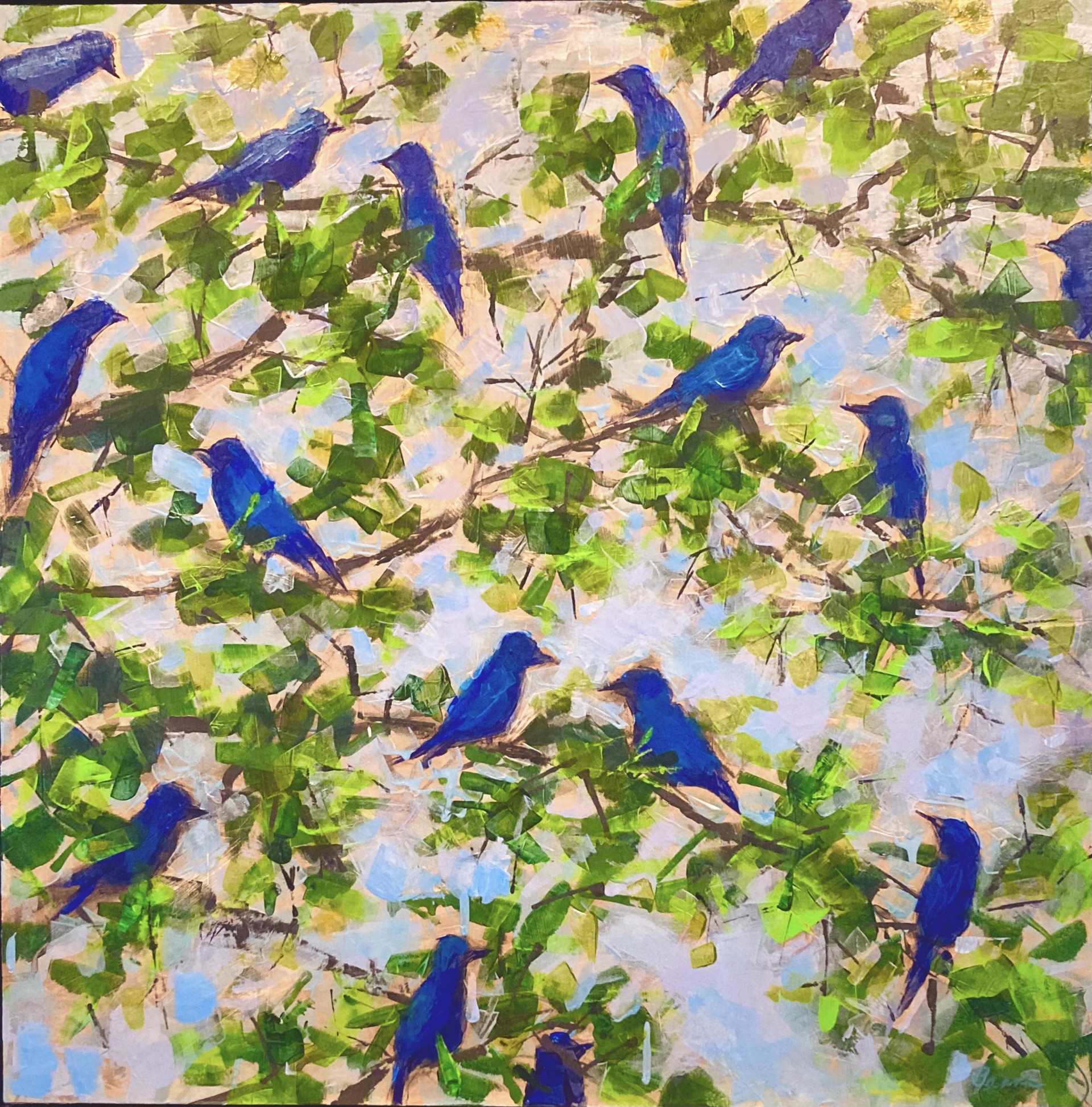 Your Bluebird Day by Martha Brane