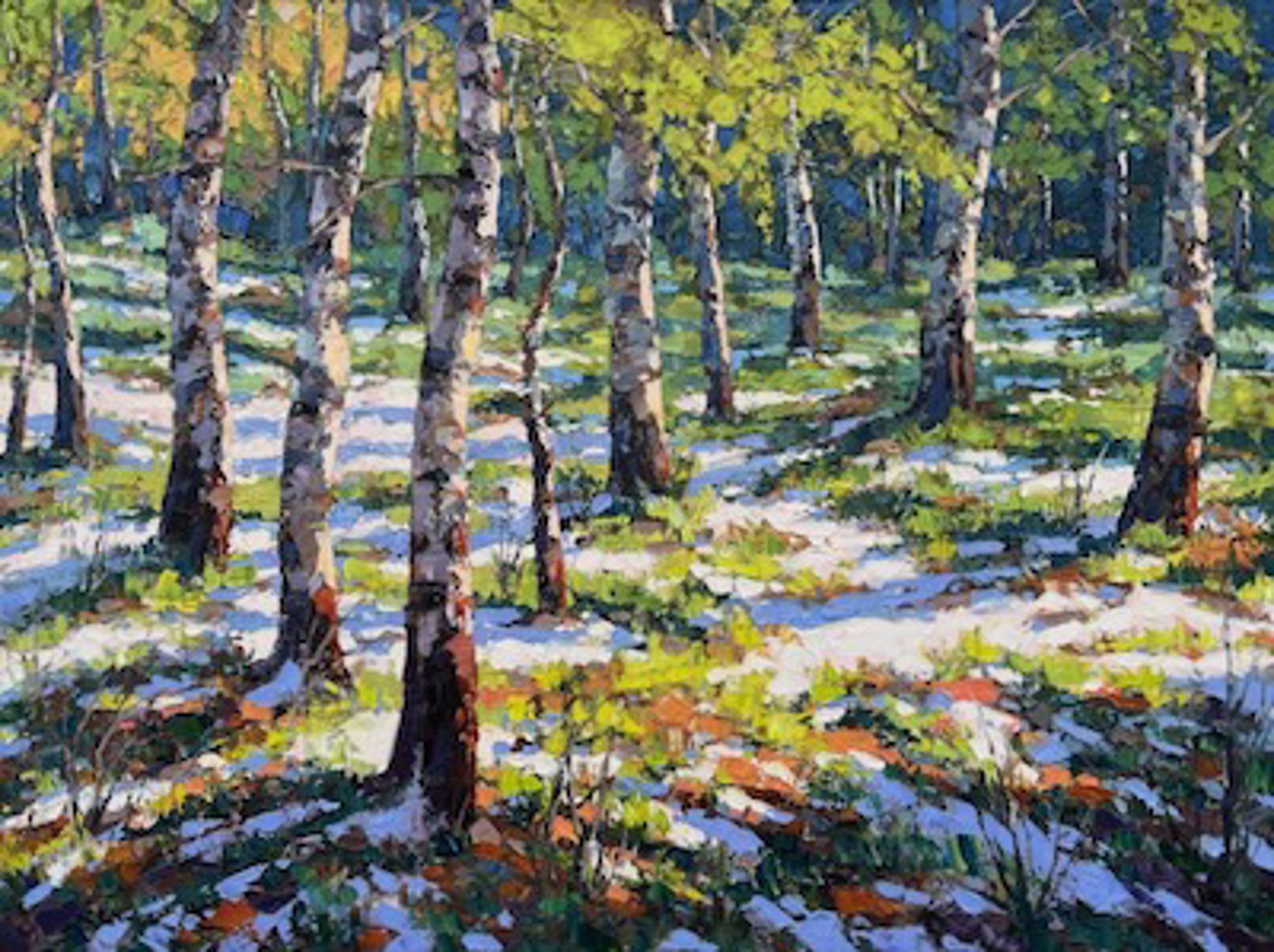 Spring Forest Above Barrier Lake by Robert E Wood