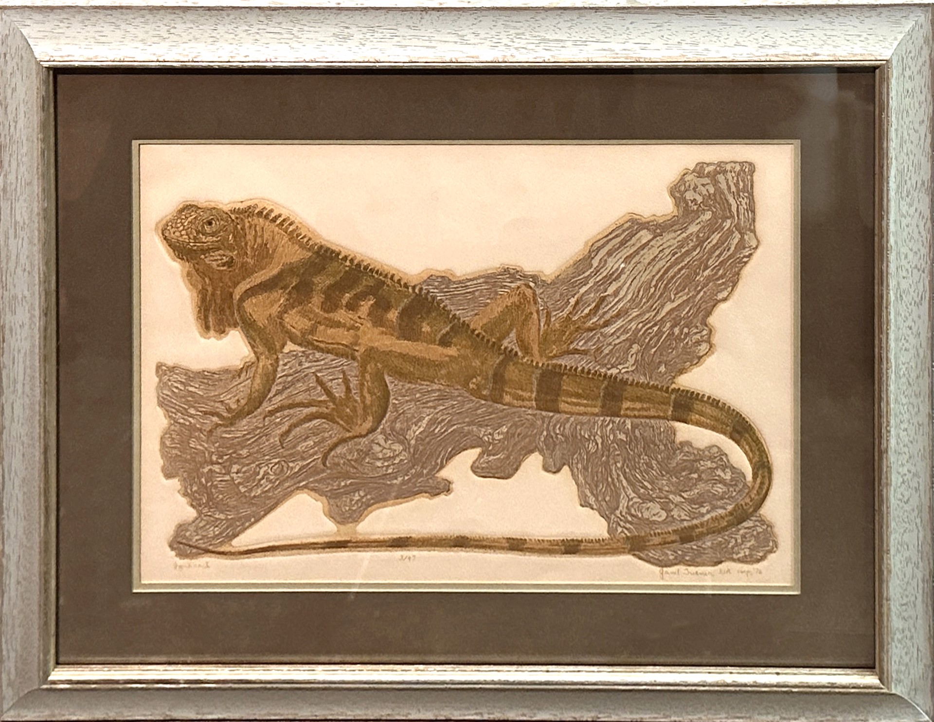 Iguana I by Janet Turner