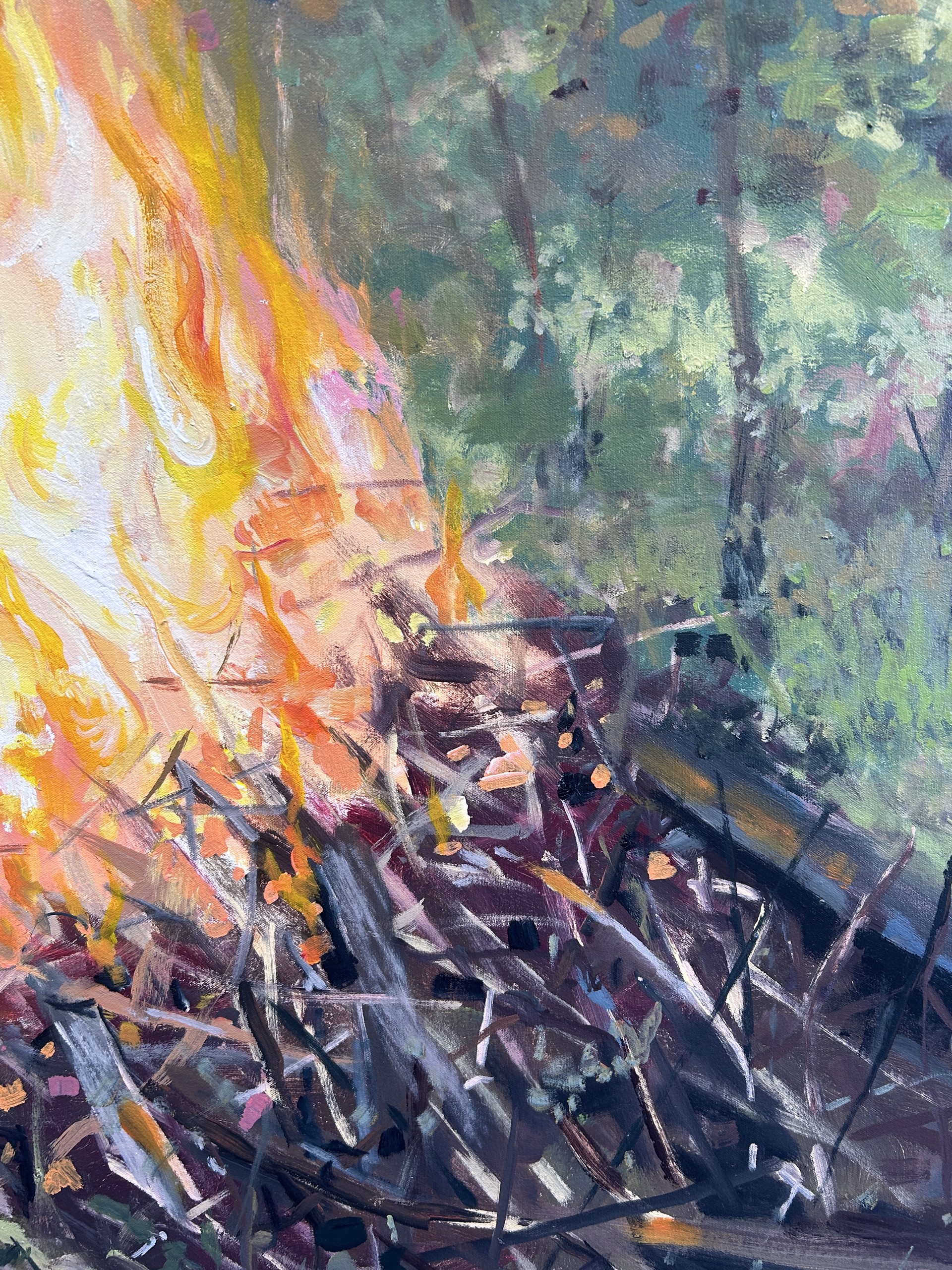Bonfire of the Calamities by Ed Trask