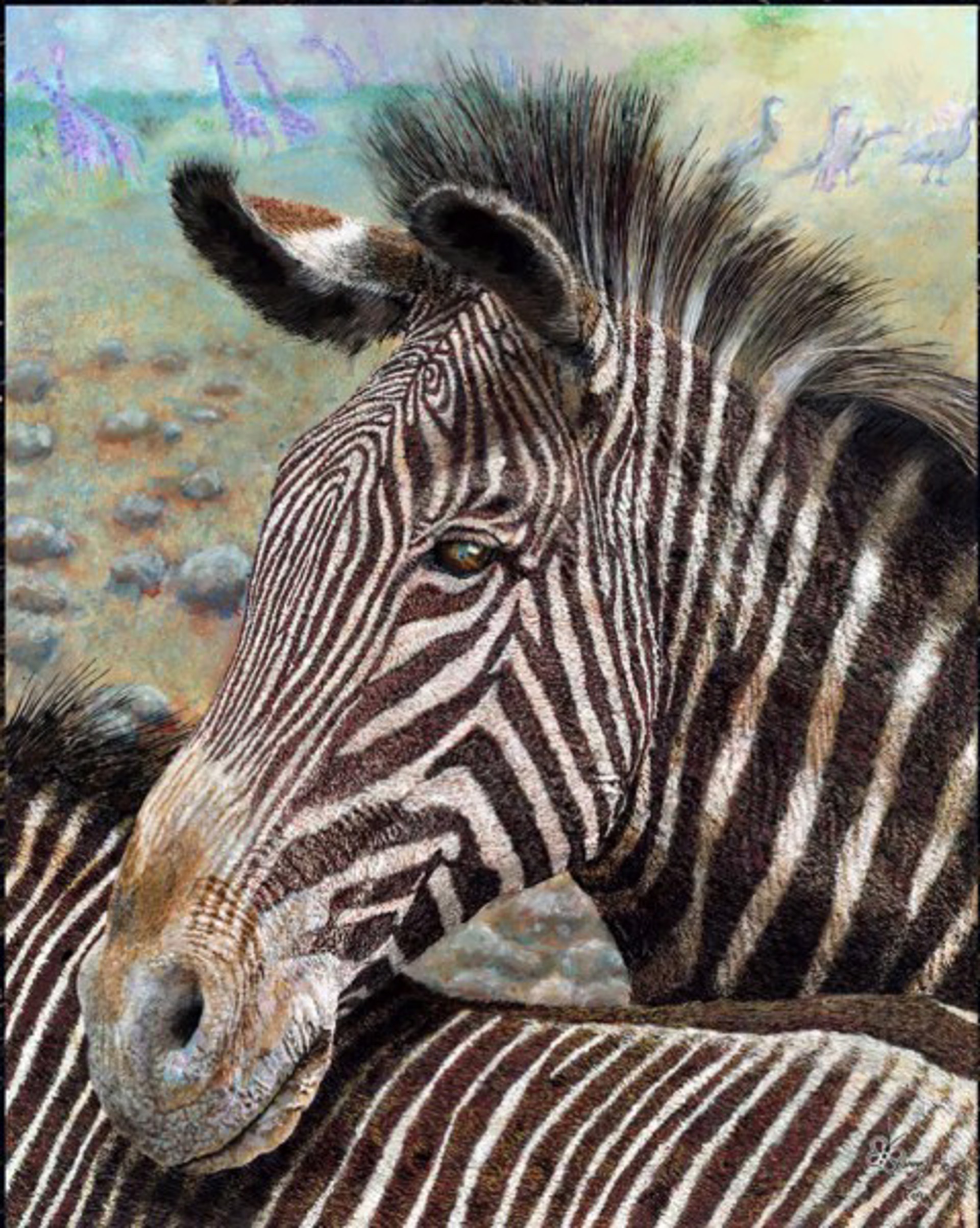 Grevy by Barry Levin