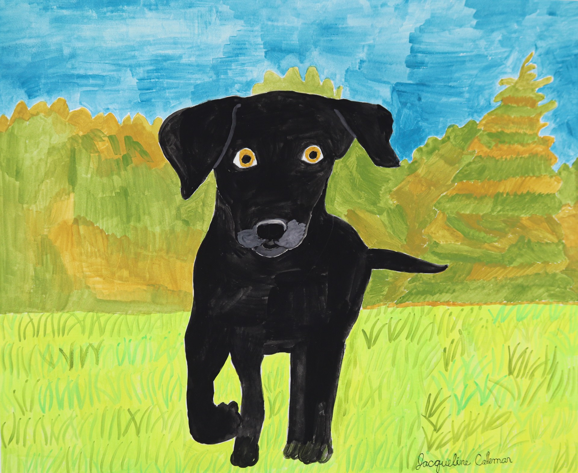 Black Lab Running by Jacqueline Coleman