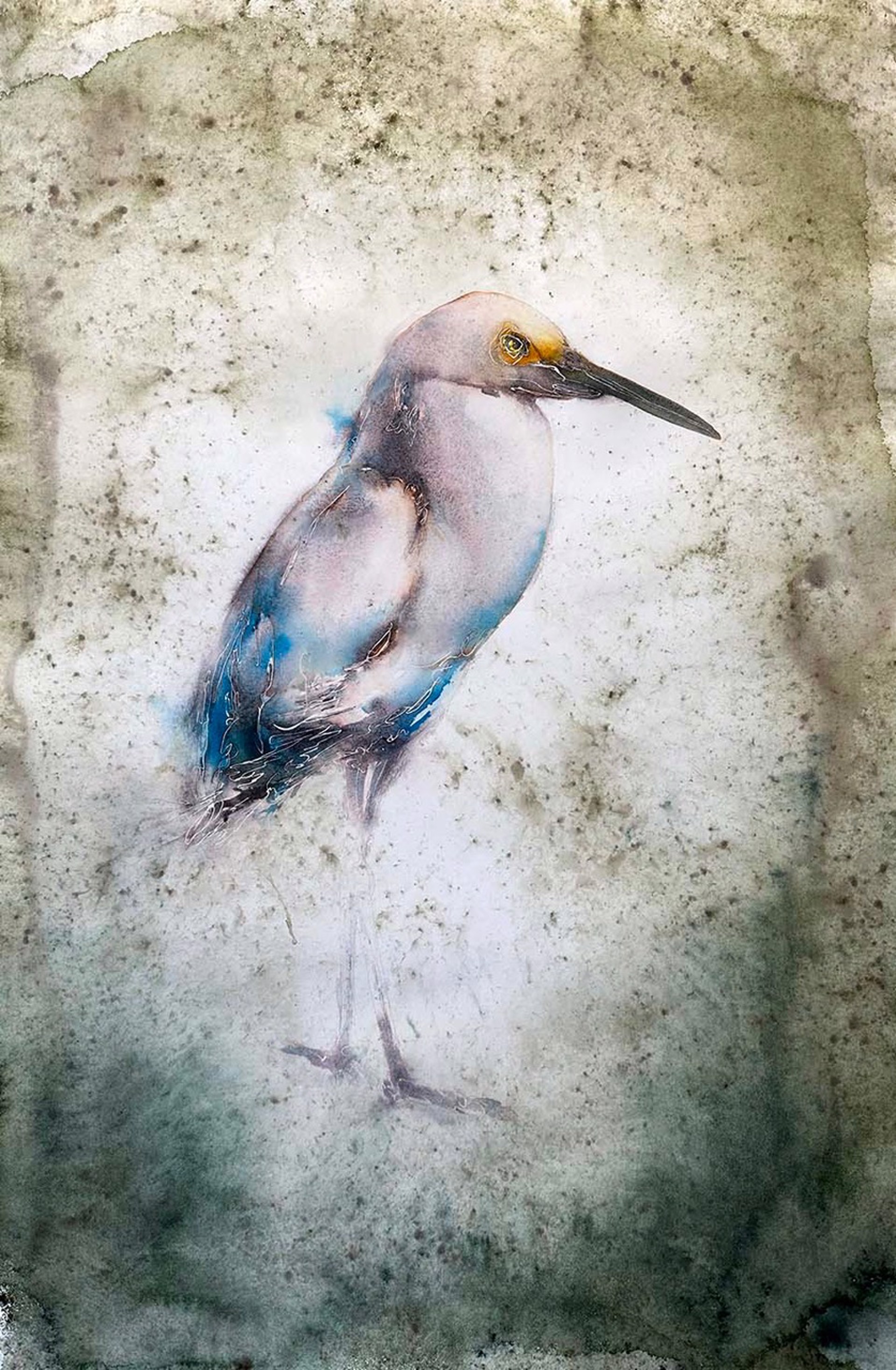 Birds of Florida - Egret by Carol Carter