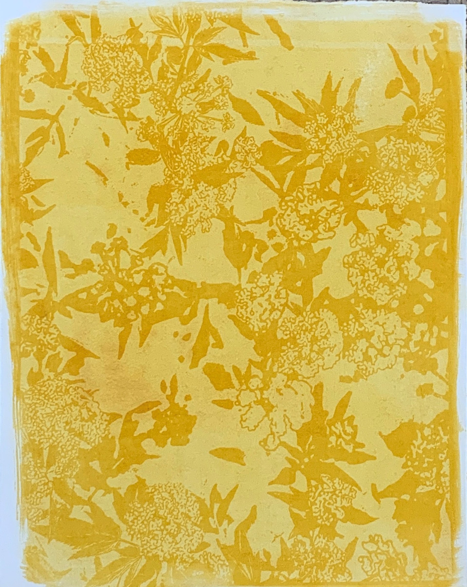 Yellow Flowers by Renee Stramel